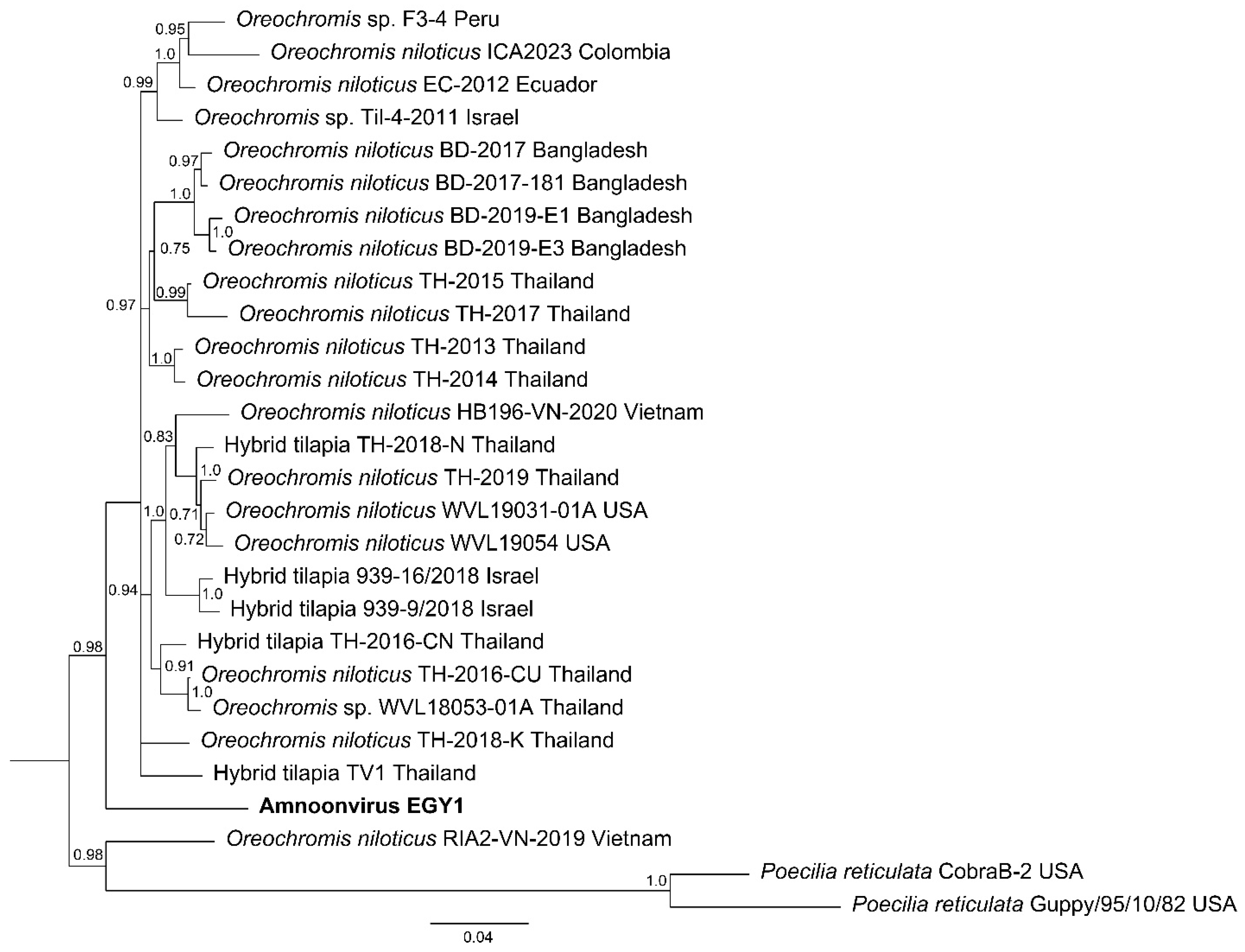 Pathogens 14 00935 g008 Pathogens 14 00935 g008