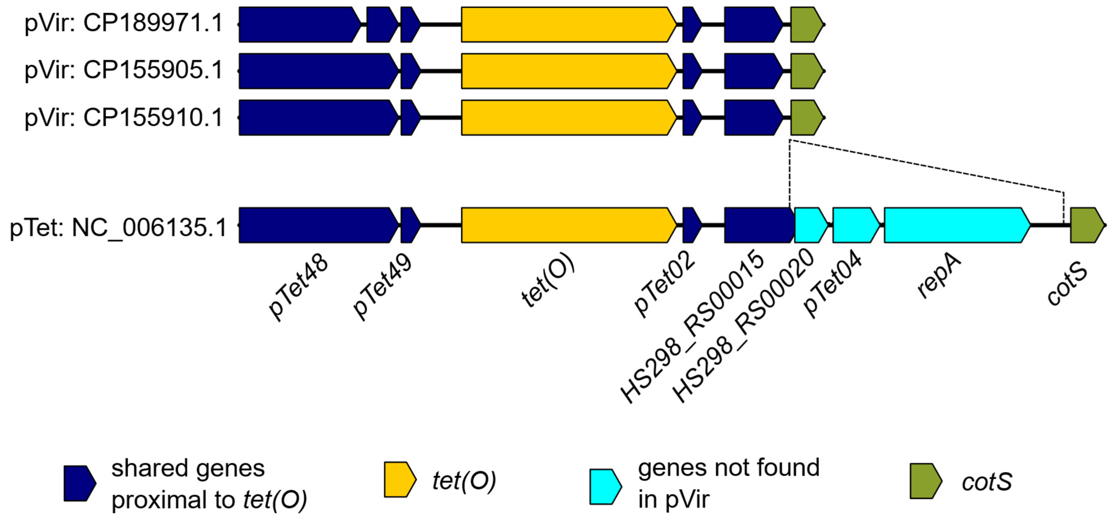Pathogens 14 00936 g004 Pathogens 14 00936 g004
