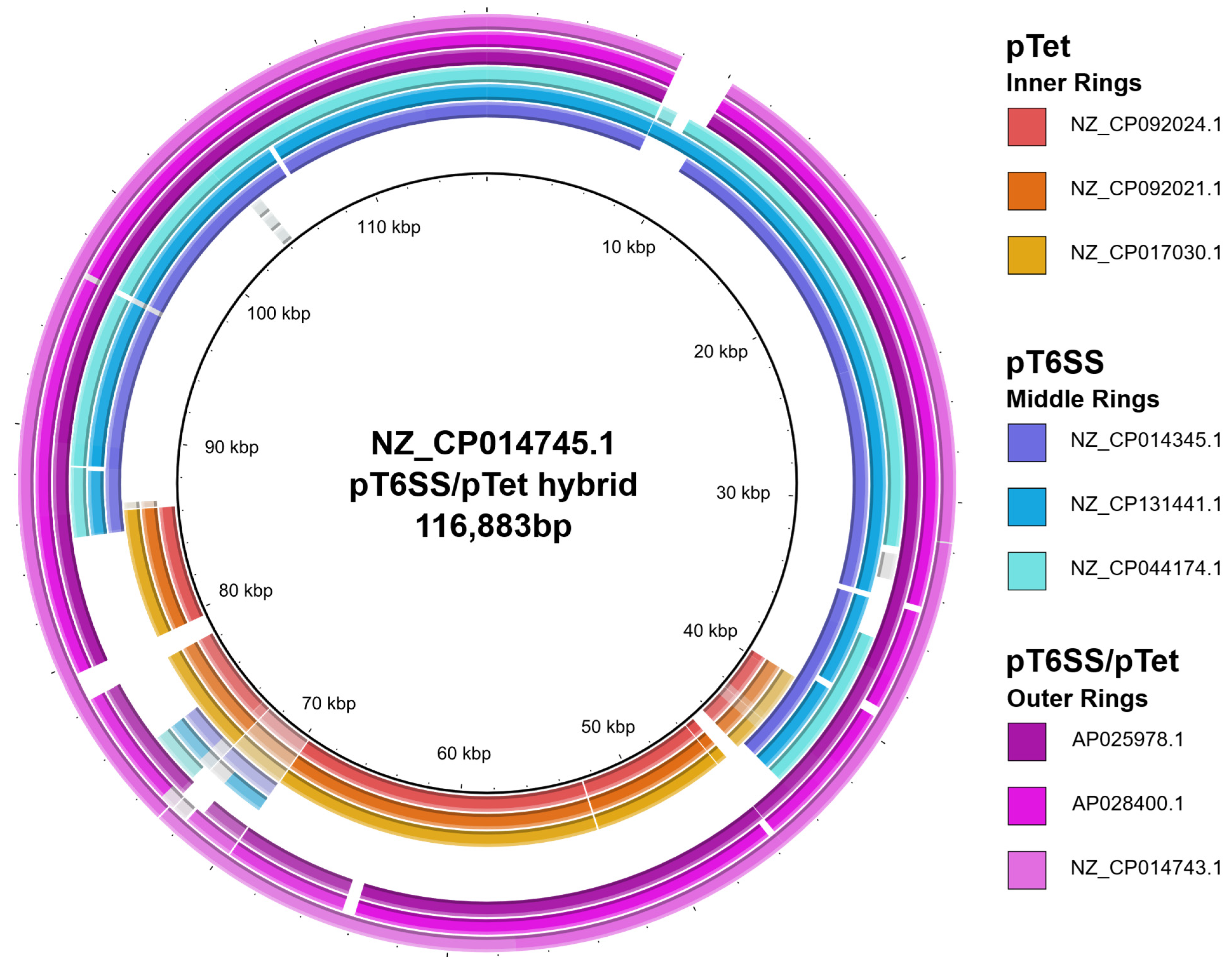 Pathogens 14 00936 g005 Pathogens 14 00936 g005