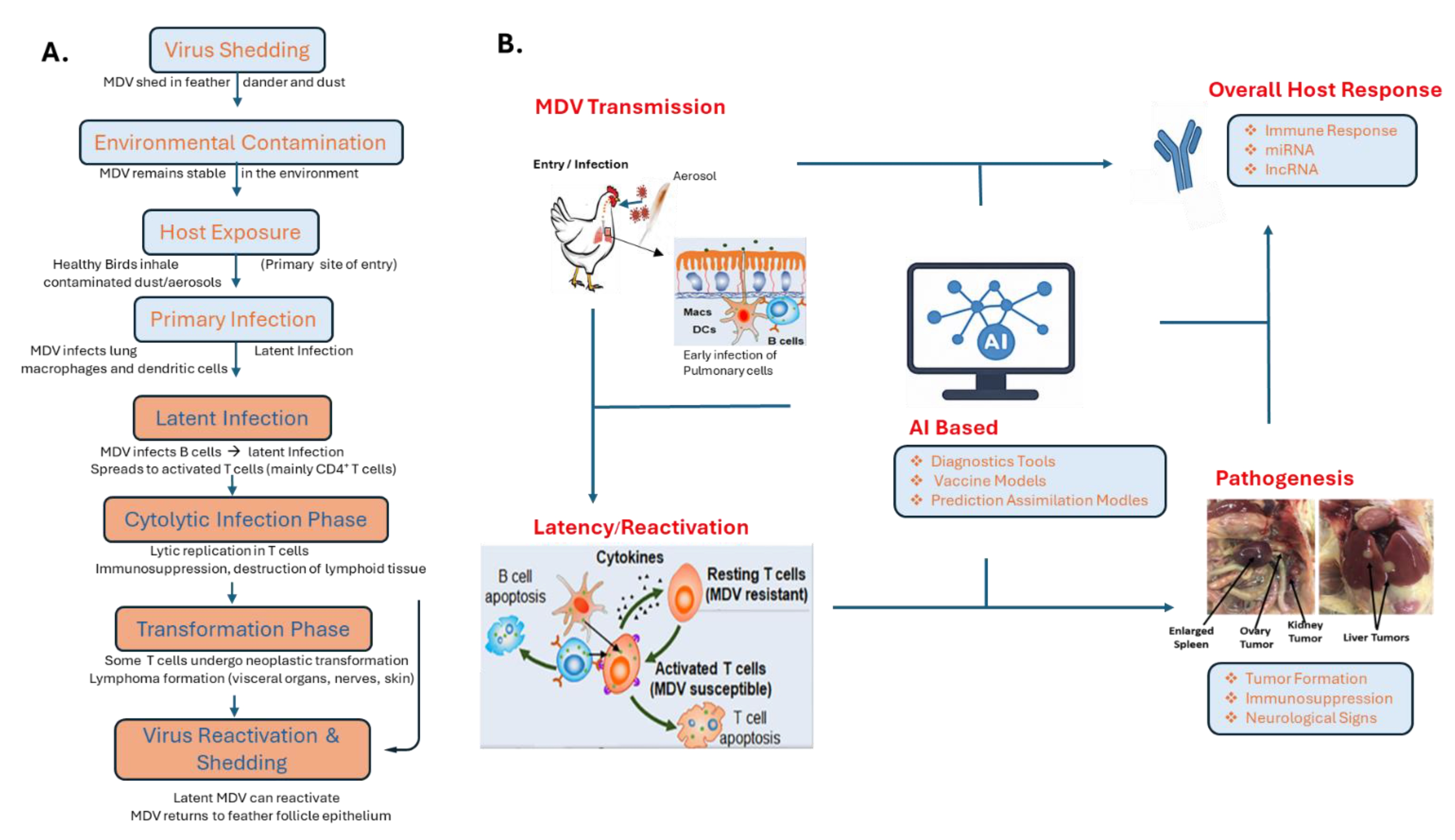 Pathogens 14 00937 g001 Pathogens 14 00937 g001