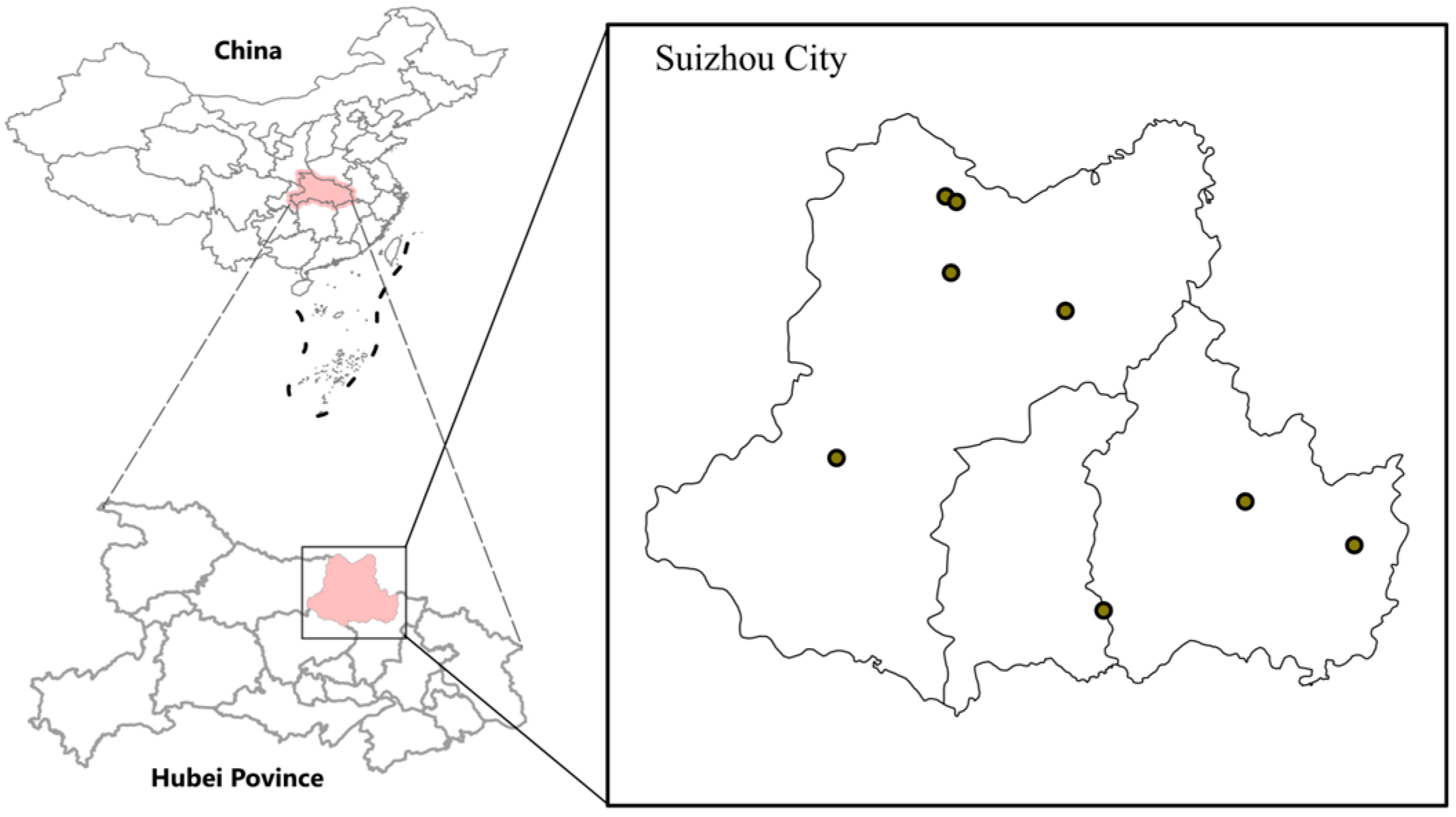 Pathogens 14 00944 g001