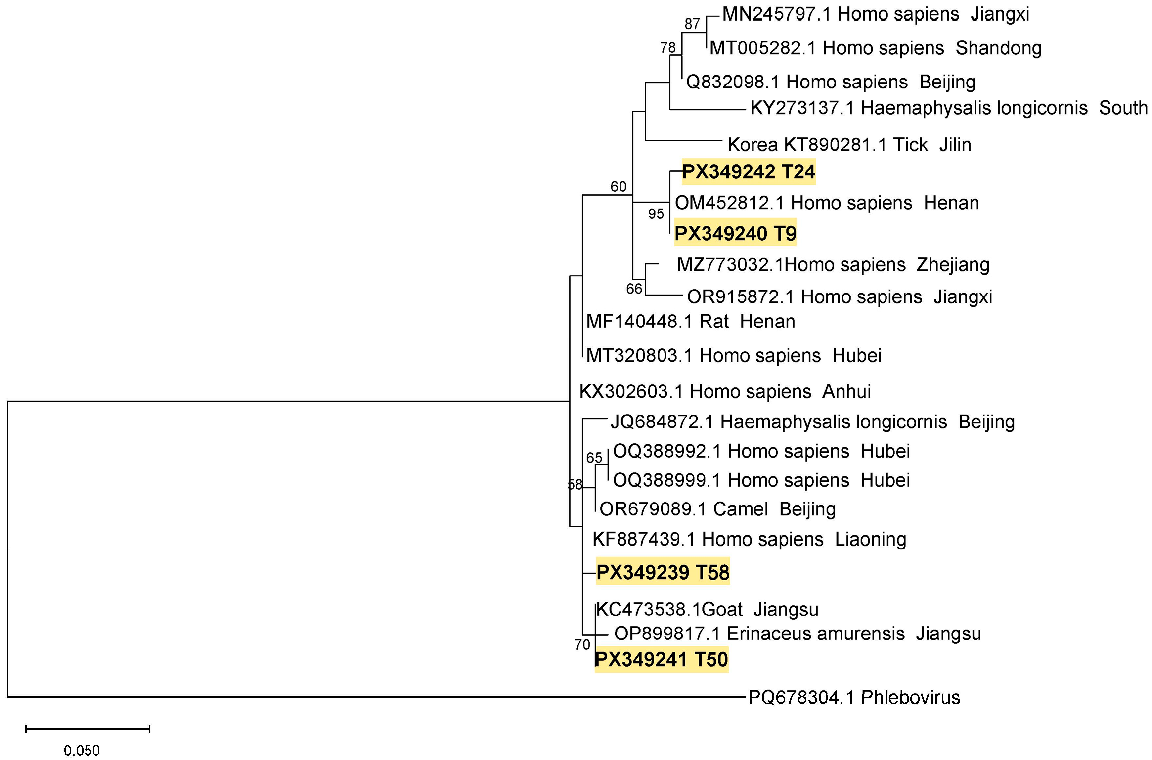 Pathogens 14 00944 g003