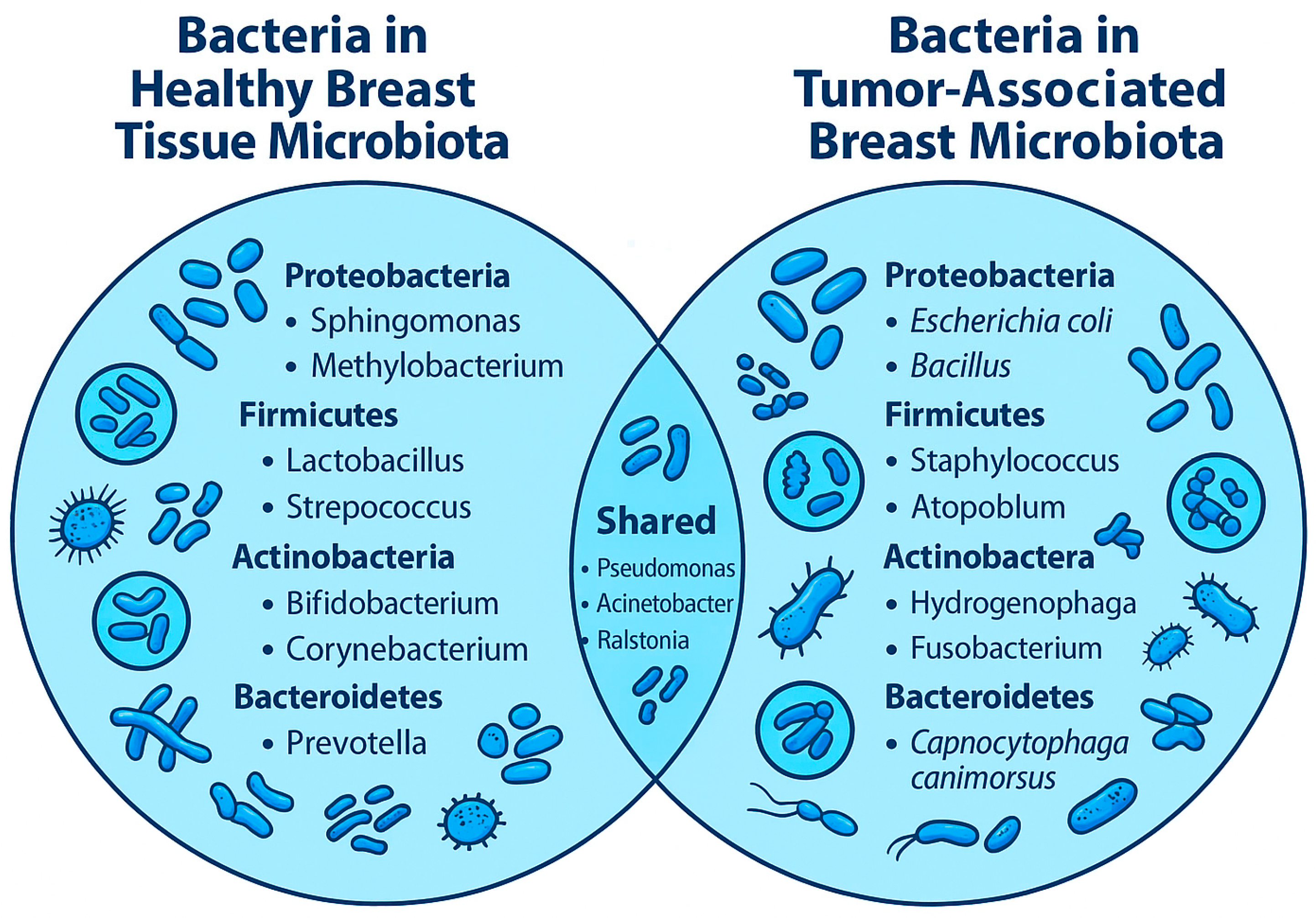 Pathogens 14 00946 g001 Pathogens 14 00946 g001