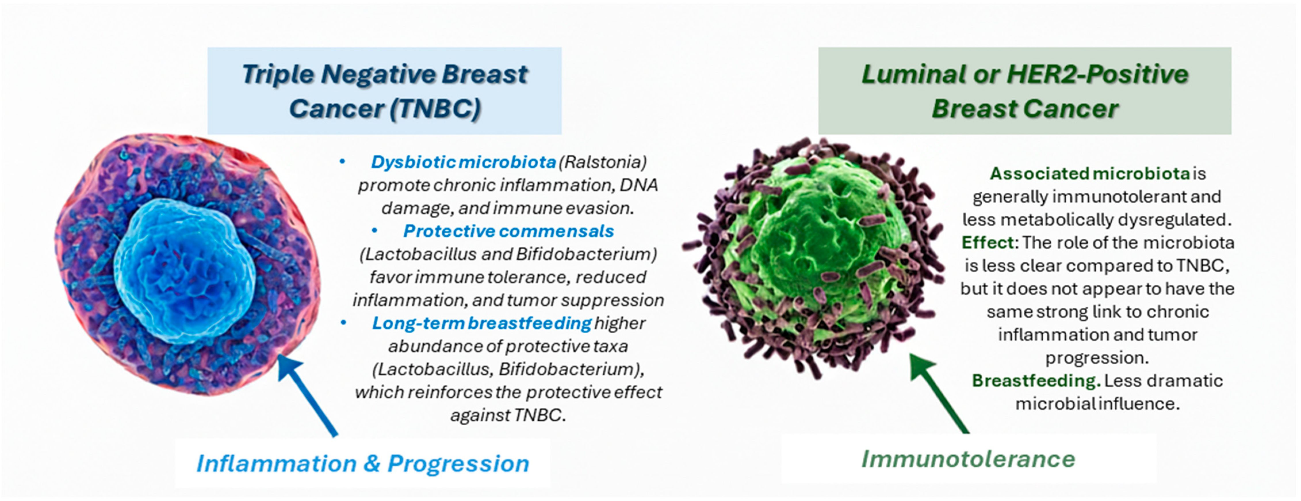 Pathogens 14 00946 g003 Pathogens 14 00946 g003