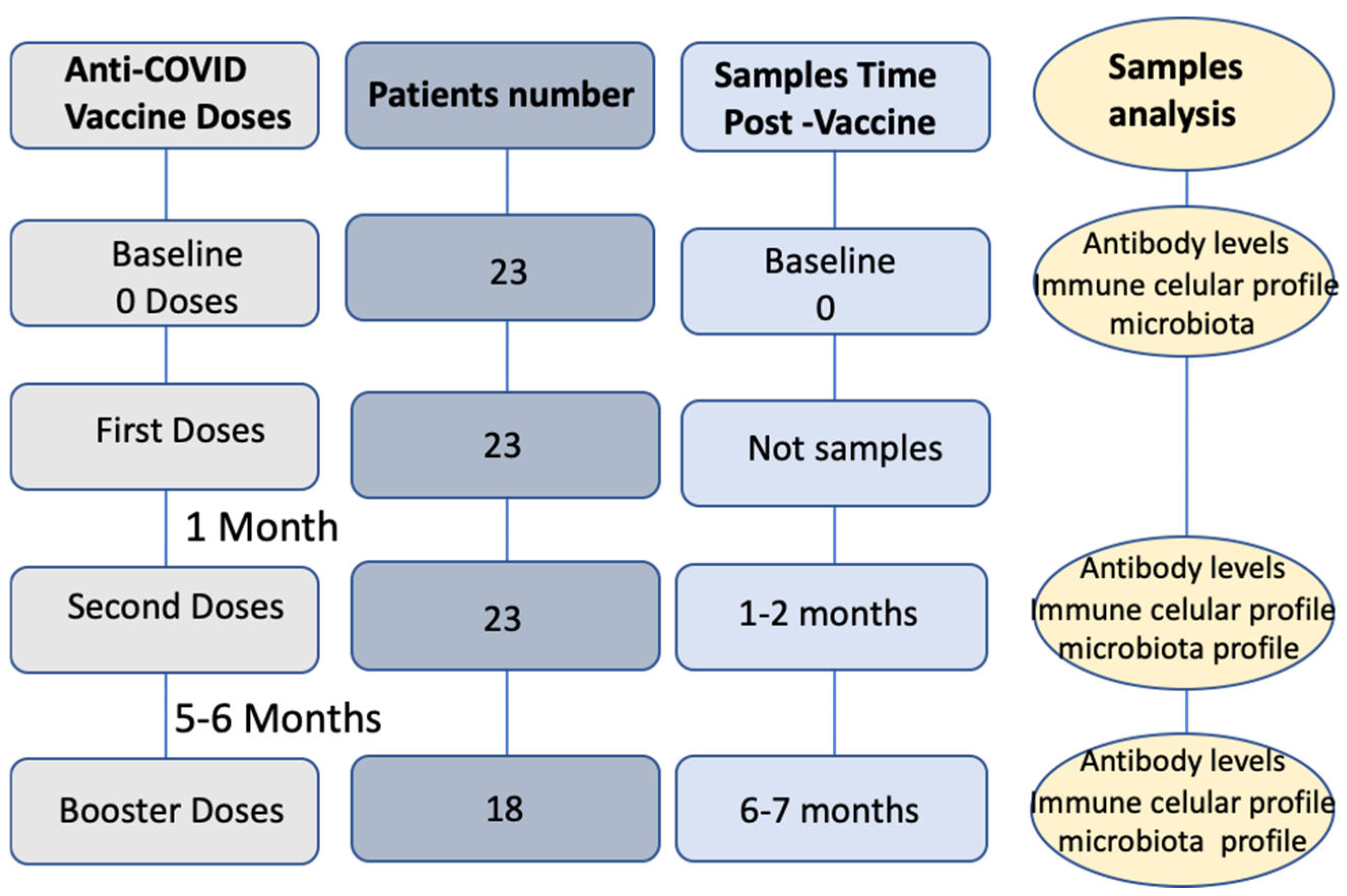 Pathogens 14 00947 g001