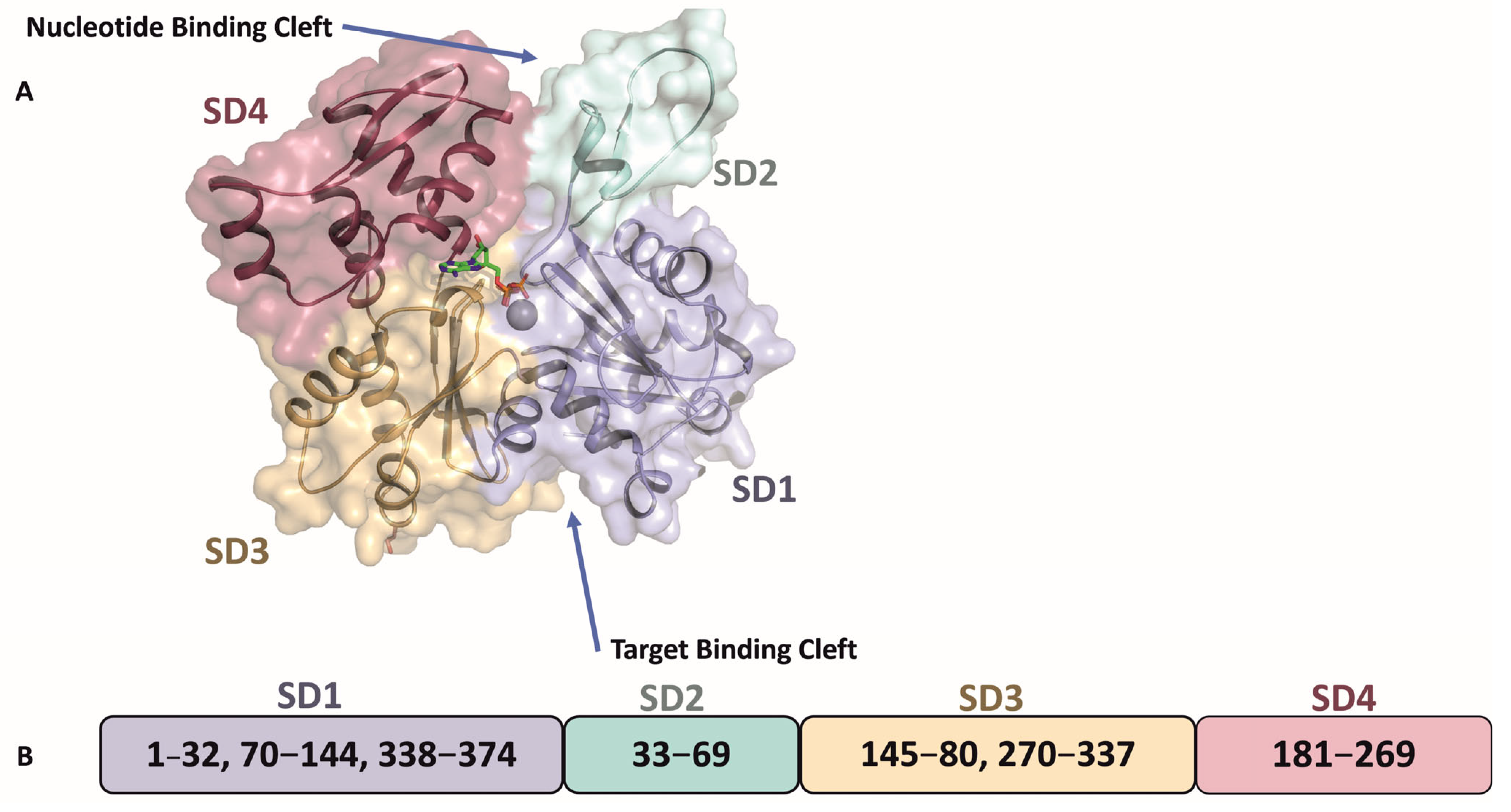 Pathogens 14 00948 g003
