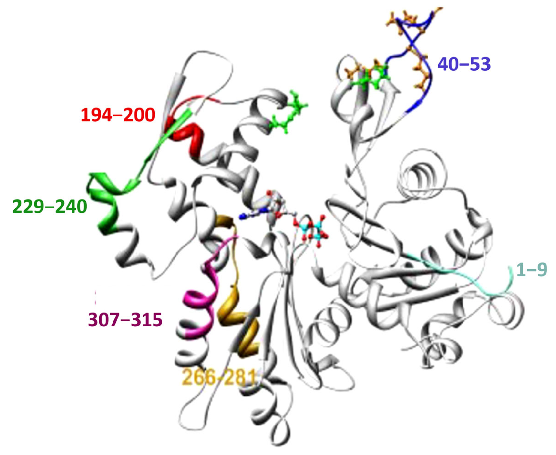 Pathogens 14 00948 g005