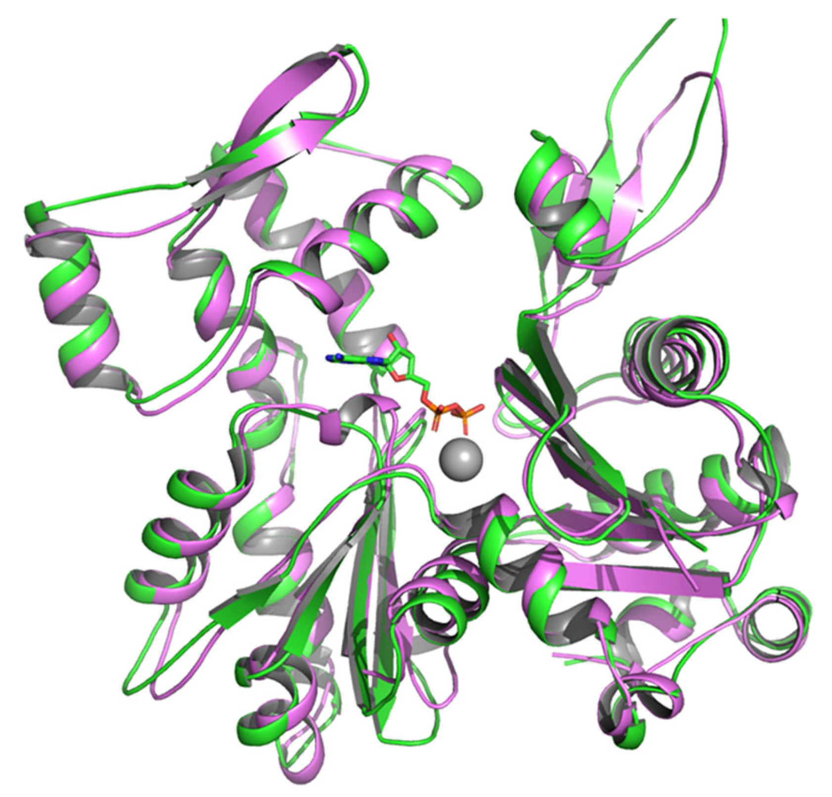 Pathogens 14 00948 g006