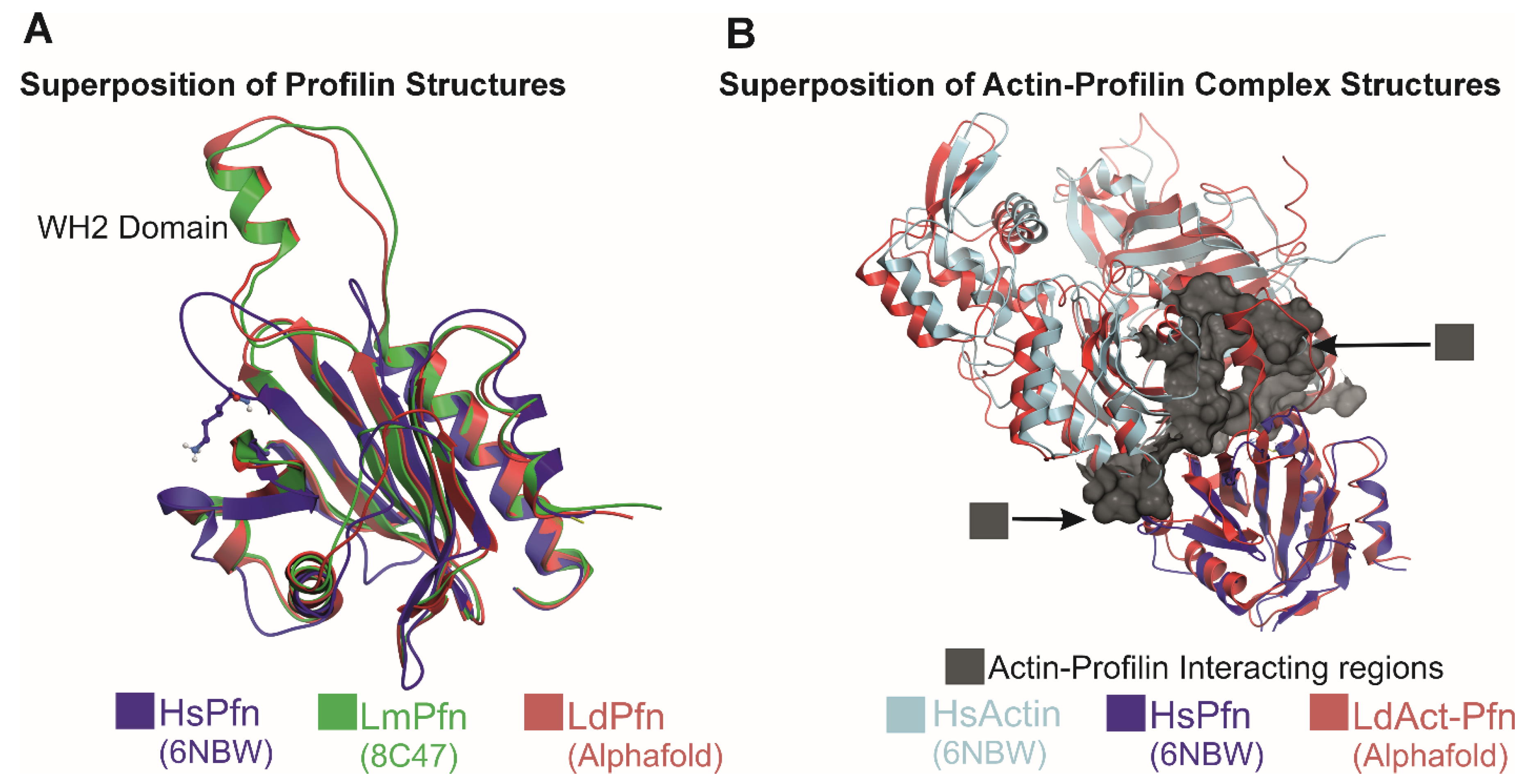 Pathogens 14 00948 g007