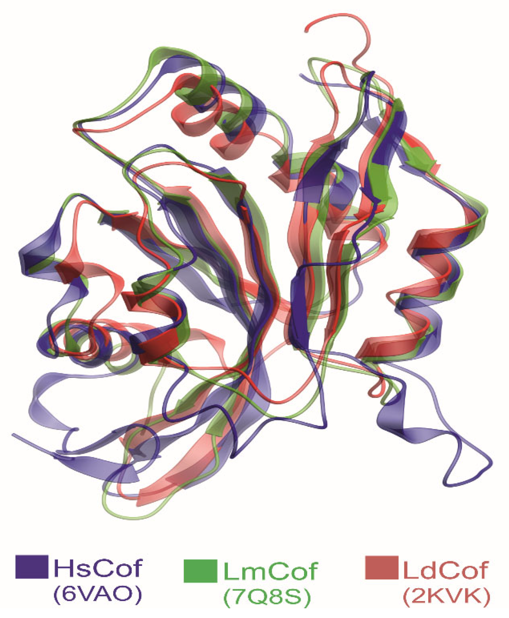 Pathogens 14 00948 g008