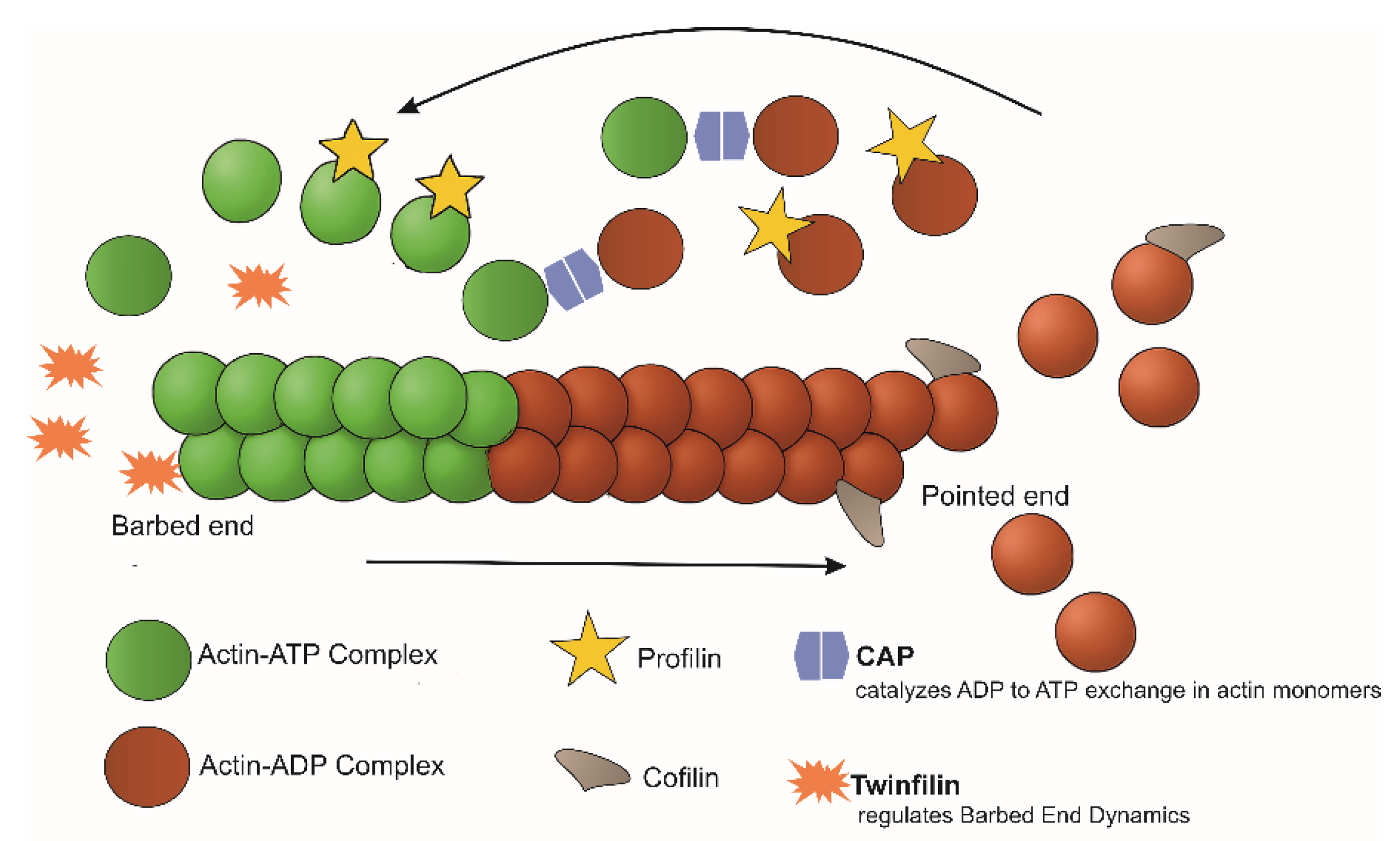Pathogens 14 00948 g009