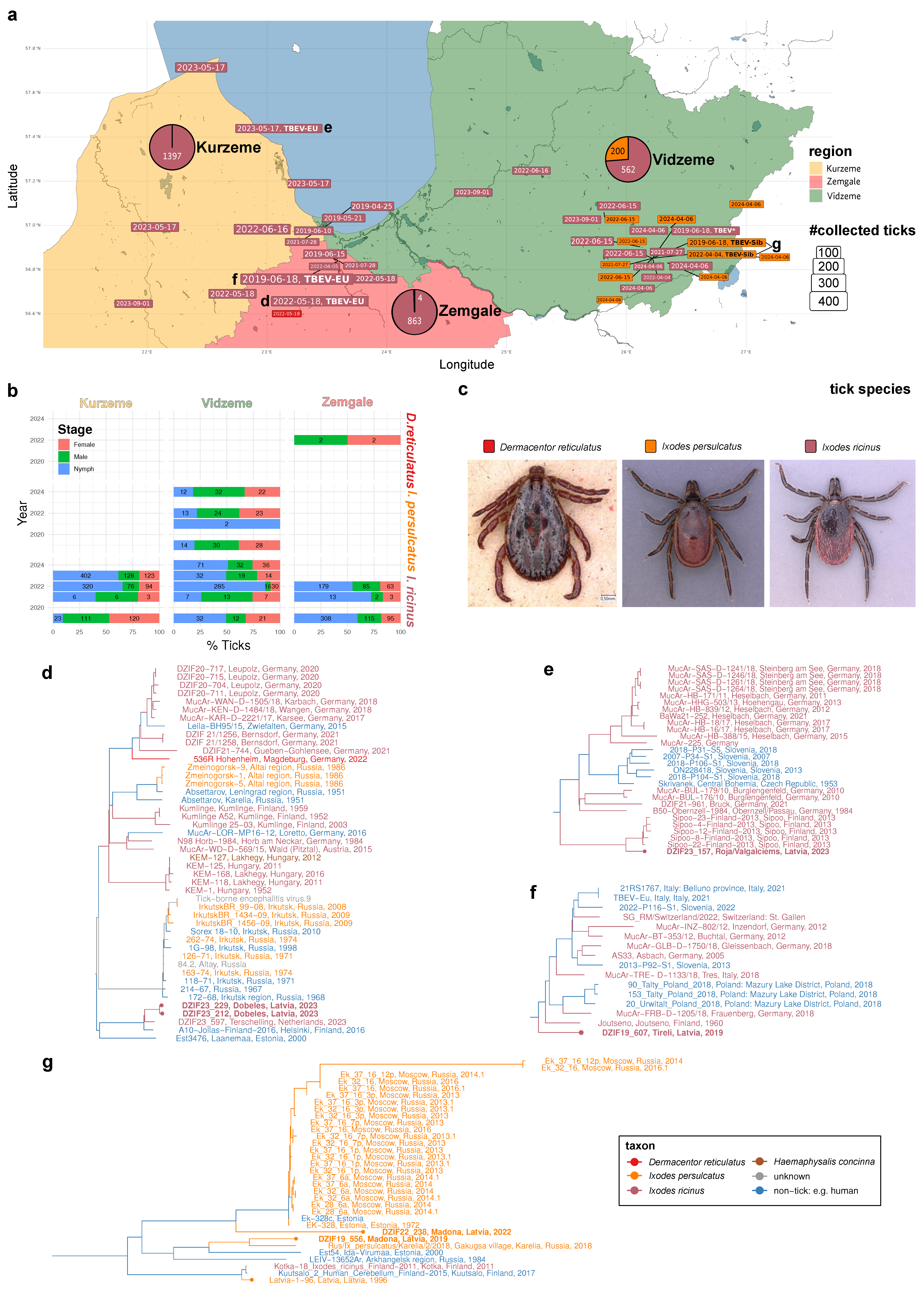 Pathogens 14 00950 g001