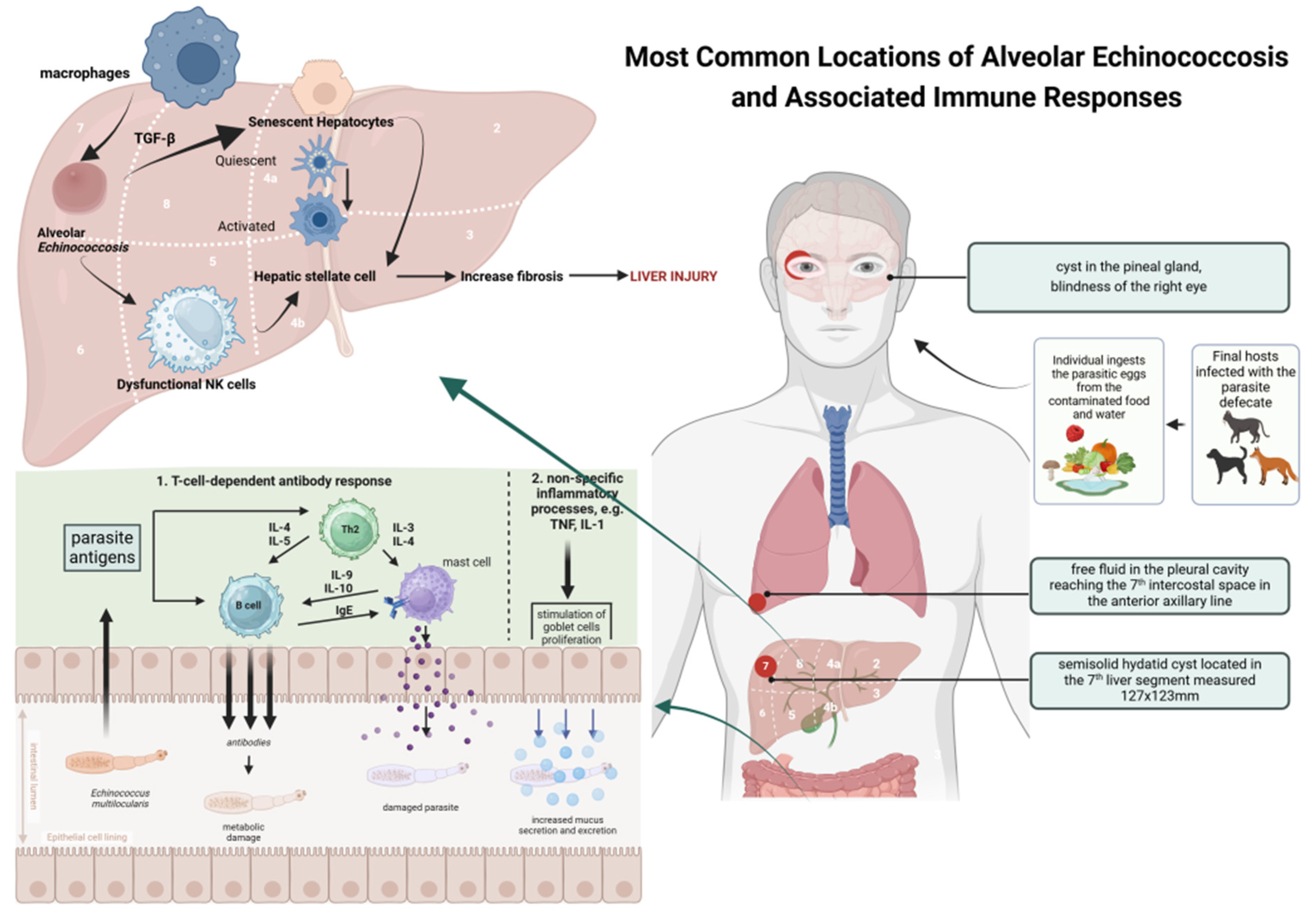 Pathogens 14 00957 g001 Pathogens 14 00957 g001