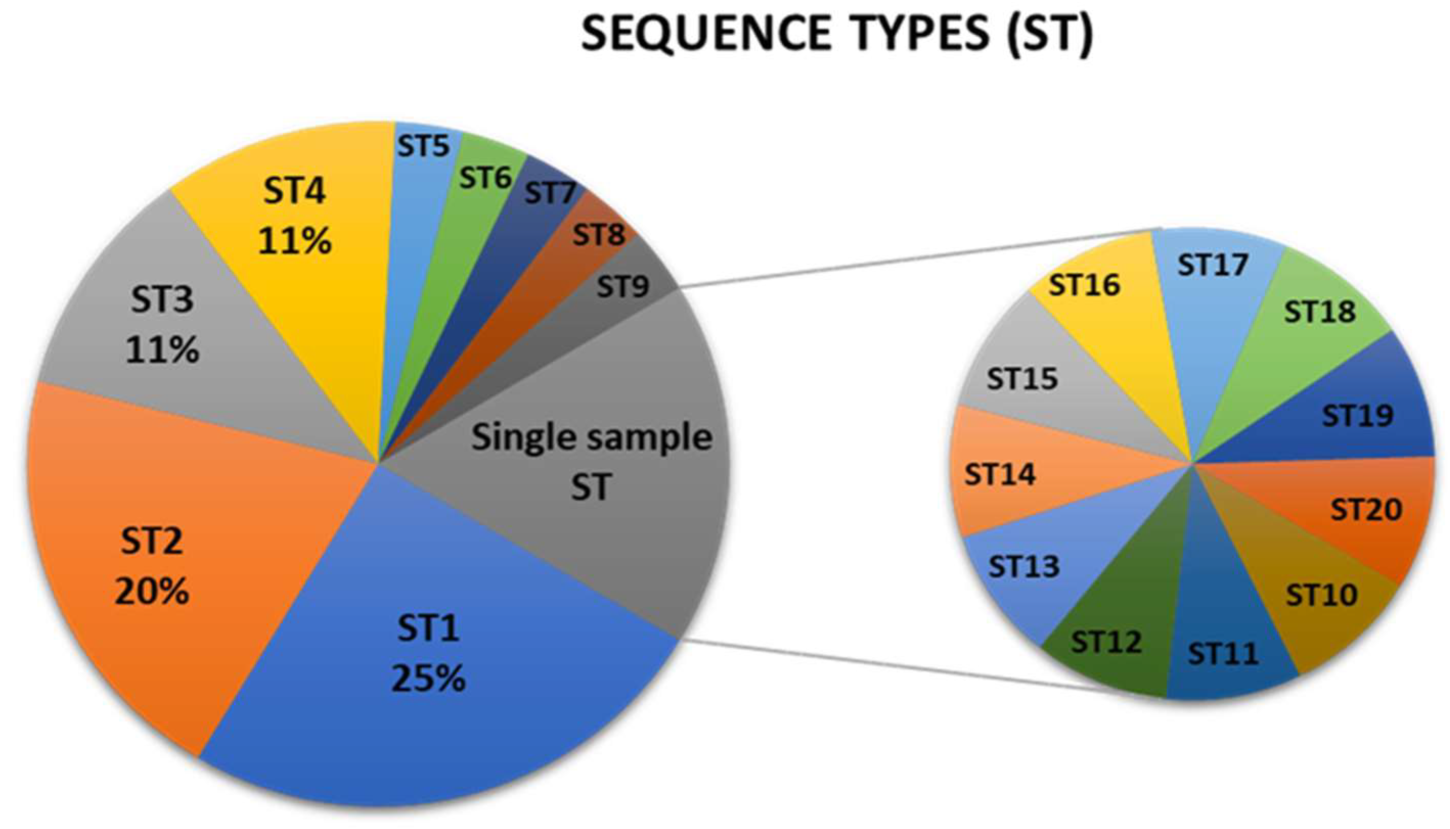 Pathogens 14 00959 g001