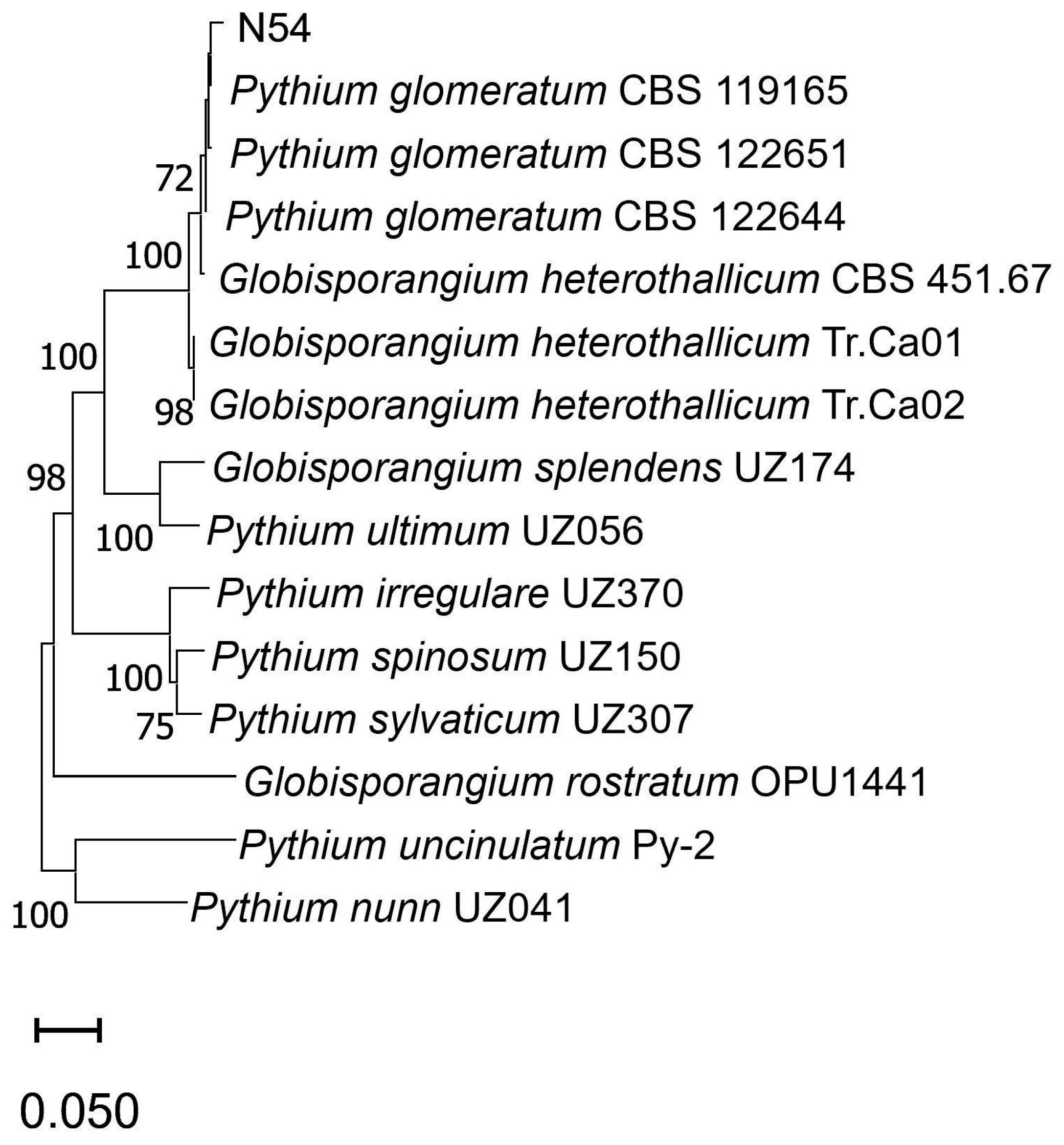Pathogens 14 00960 g002 Pathogens 14 00960 g002