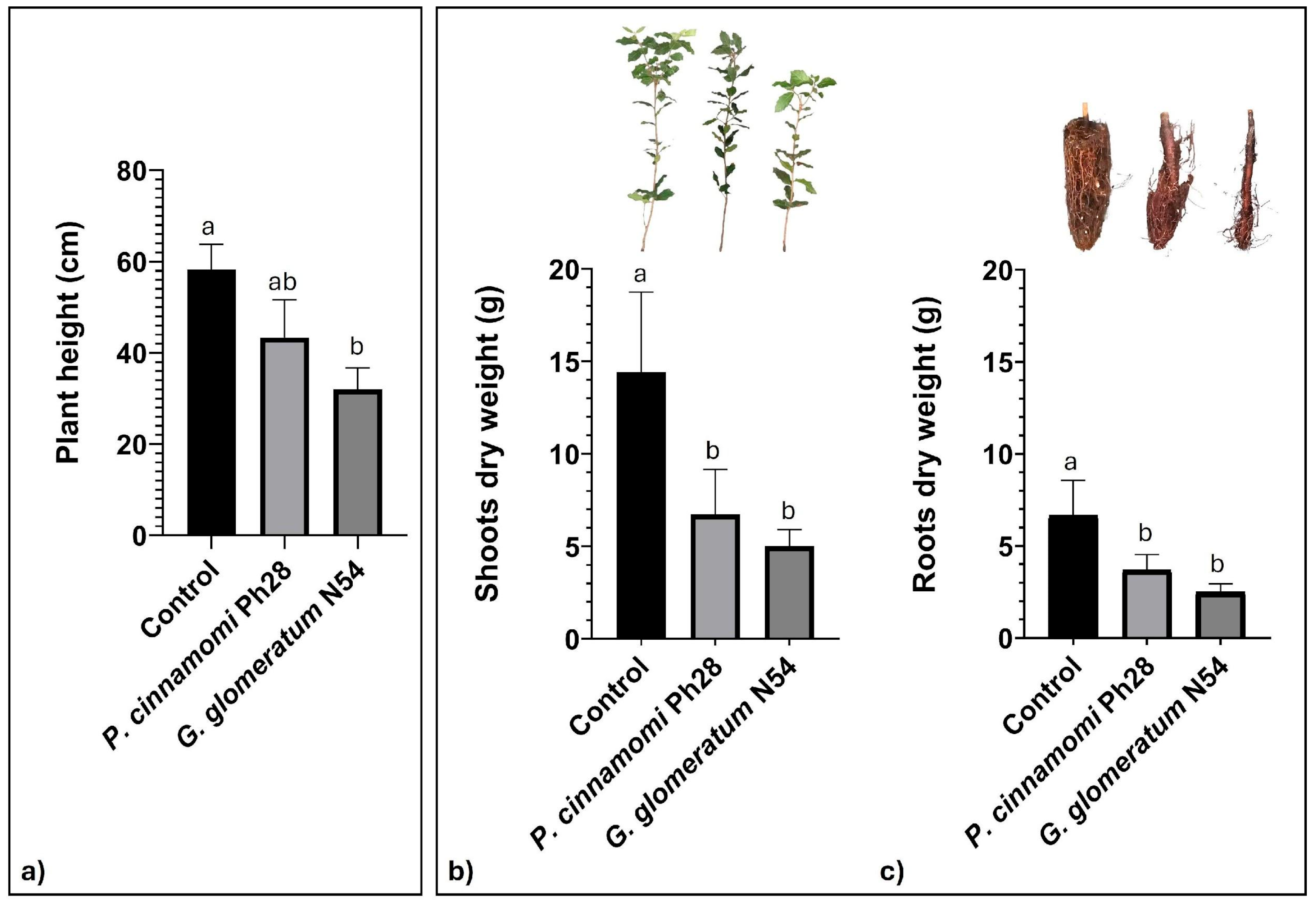 Pathogens 14 00960 g003 Pathogens 14 00960 g003