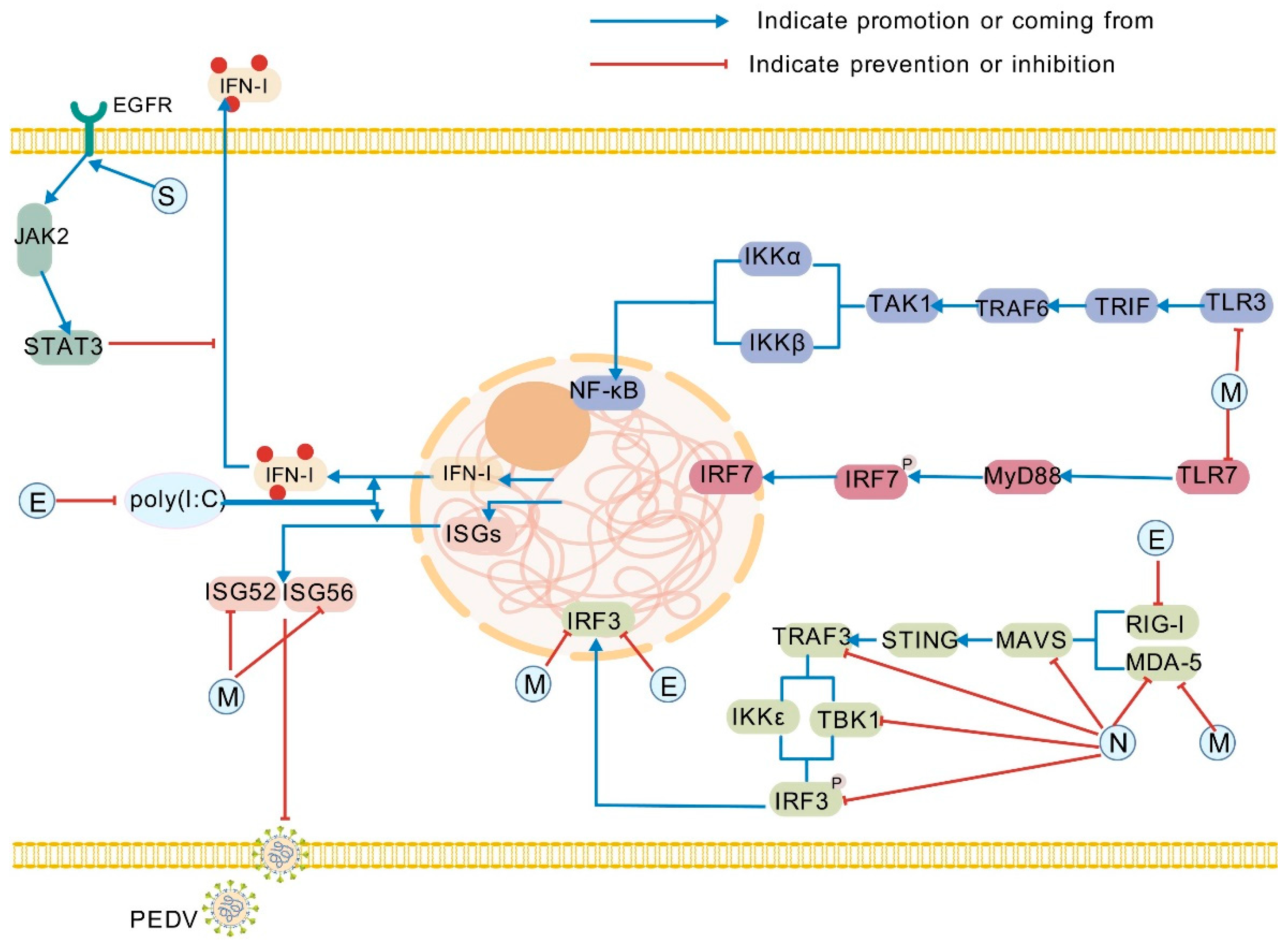 Pathogens 14 00971 g001