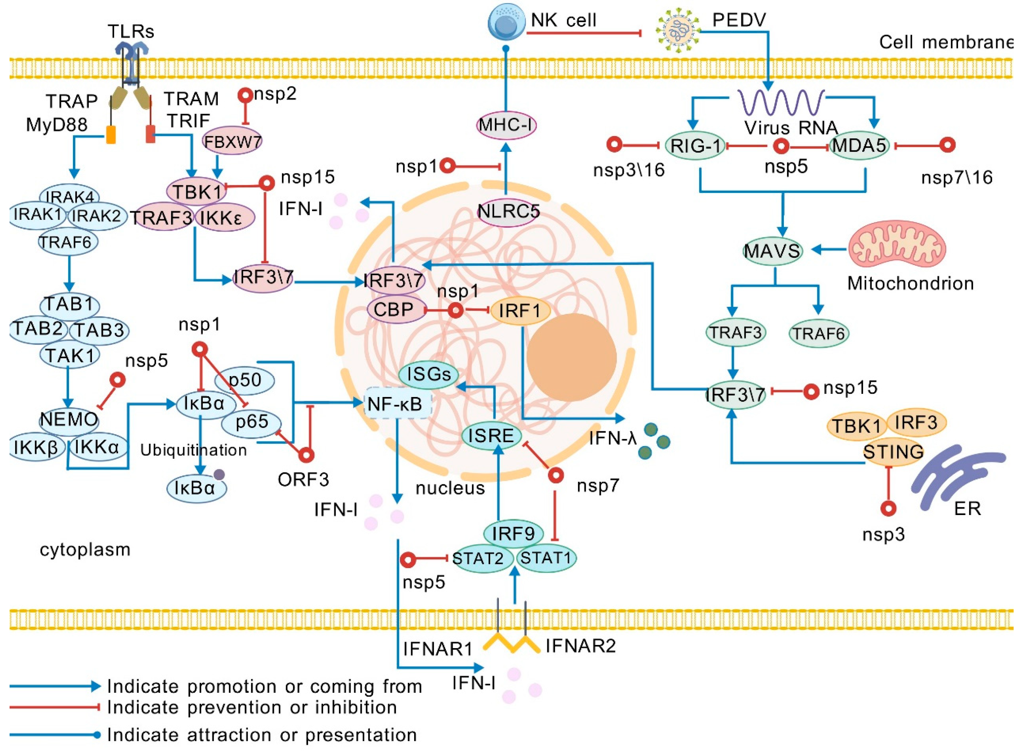 Pathogens 14 00971 g002