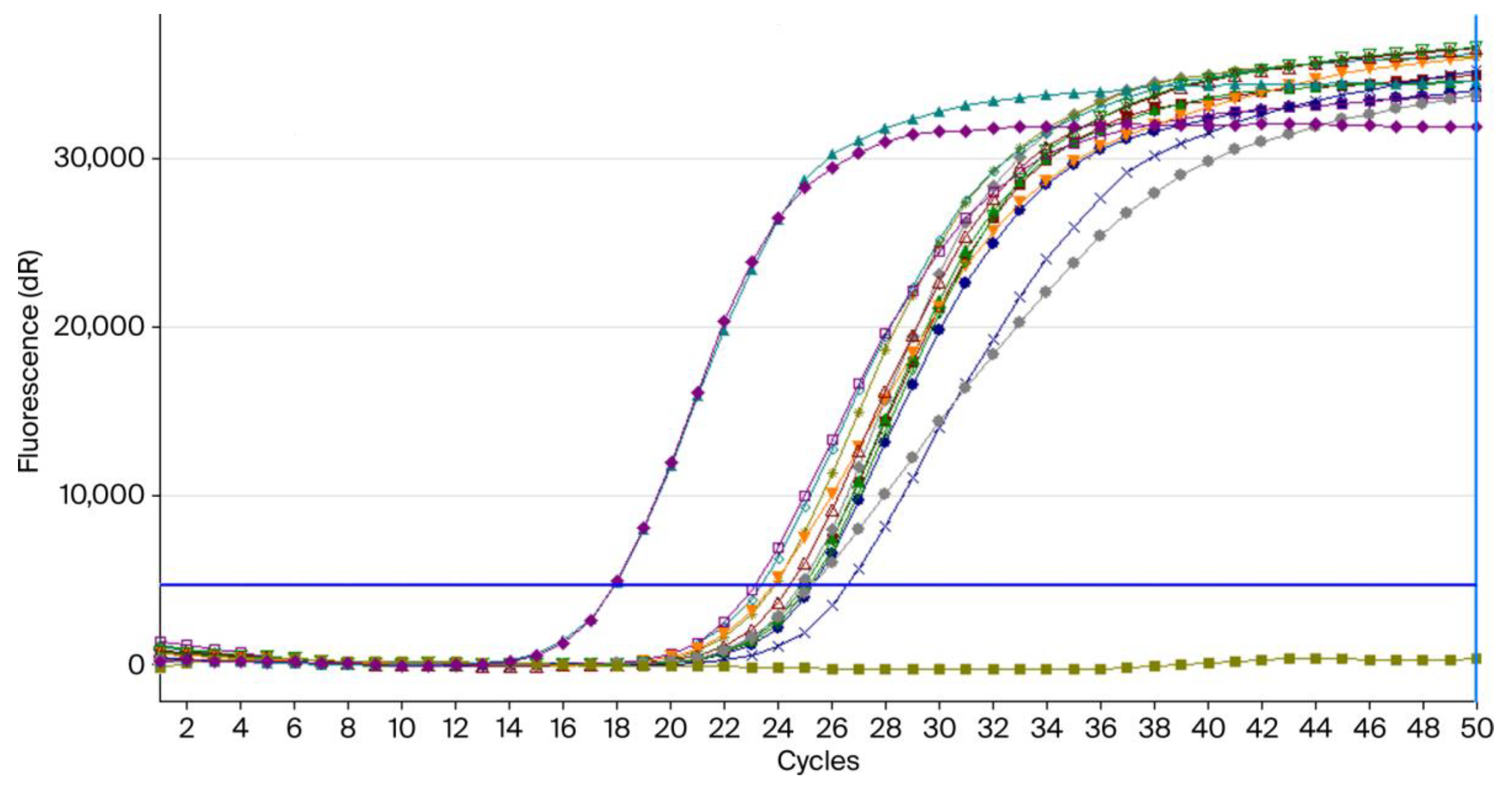 Pathogens 14 00972 g001 Pathogens 14 00972 g001