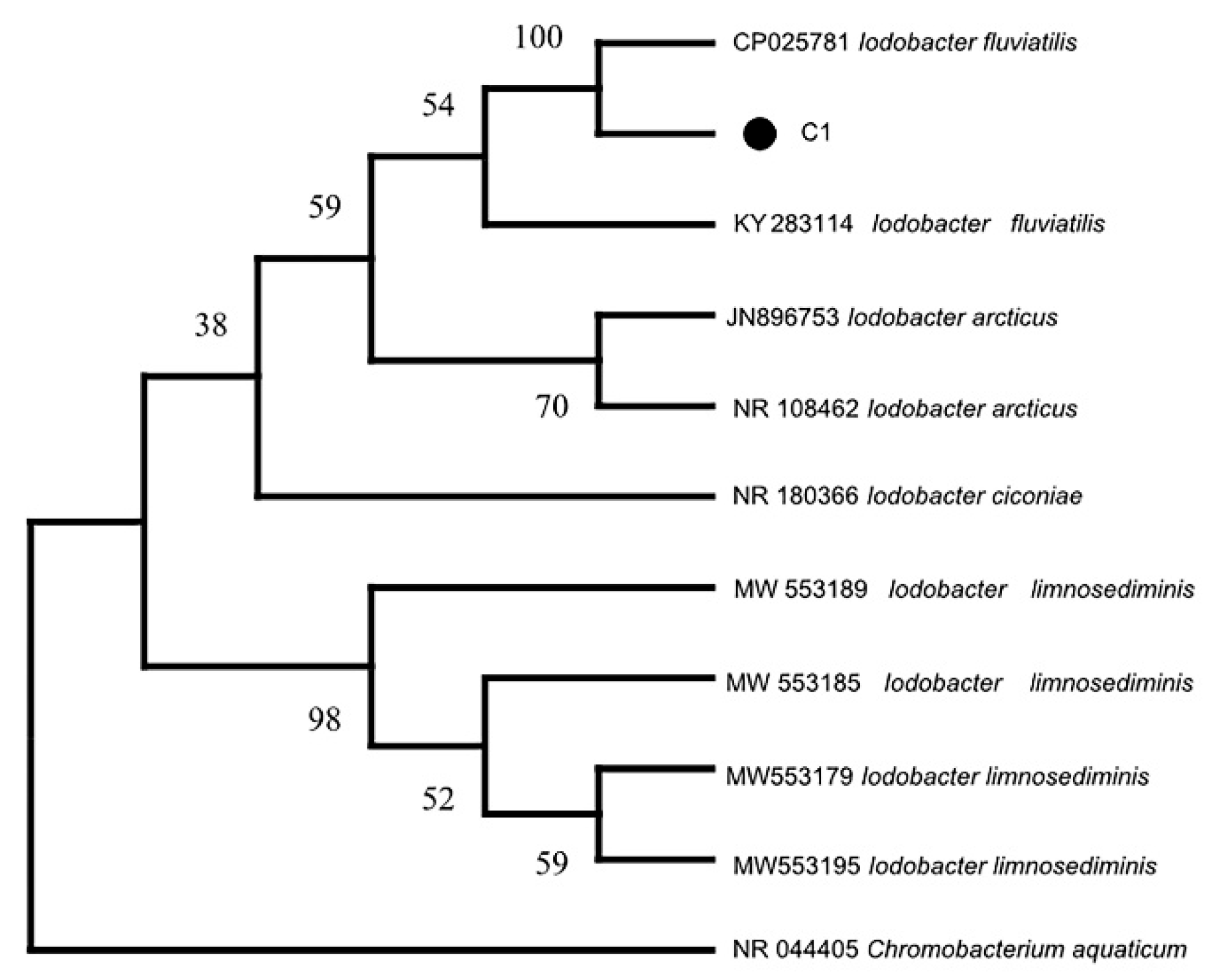 Pathogens 14 00978 g004 Pathogens 14 00978 g004