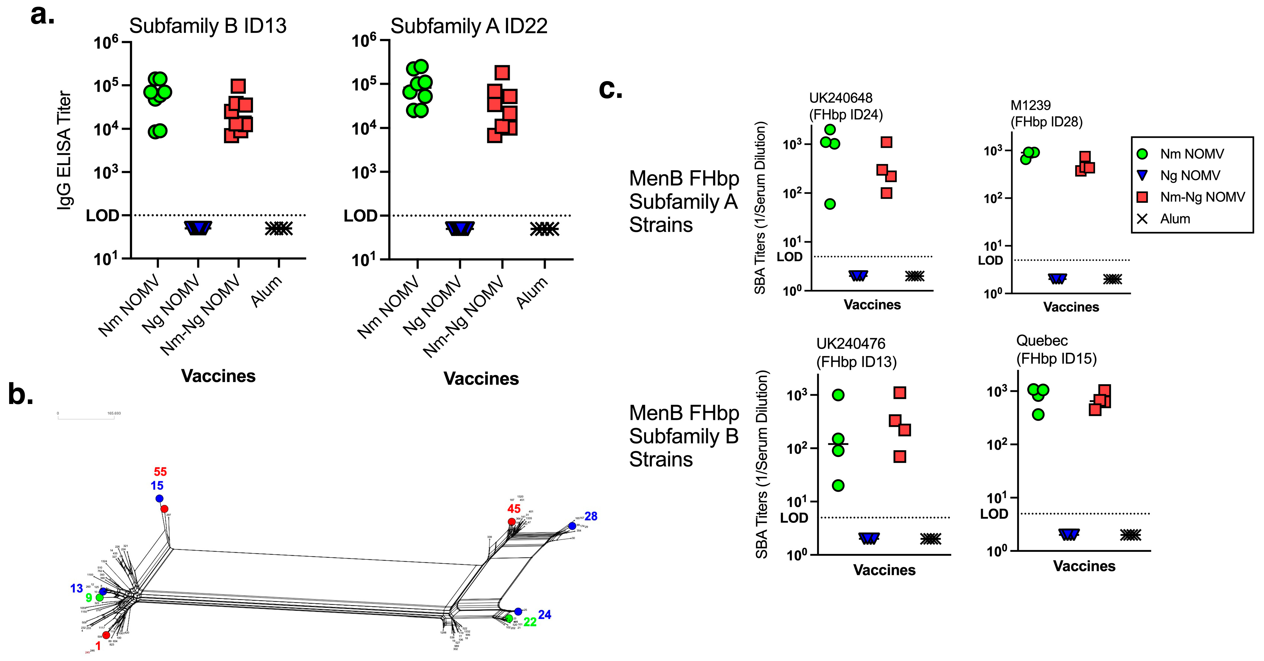 Pathogens 14 00979 g001