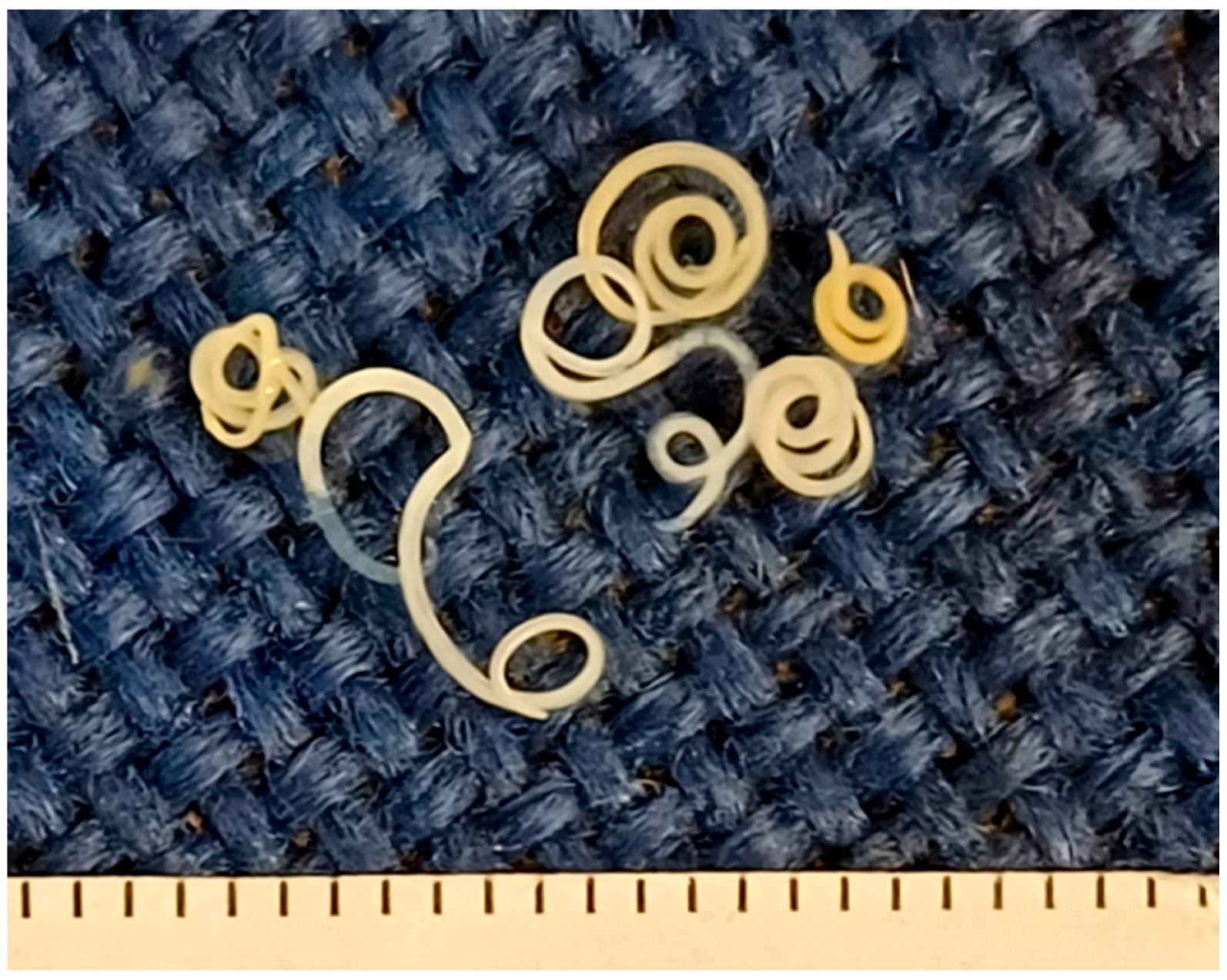 Pathogens 14 00981 g001