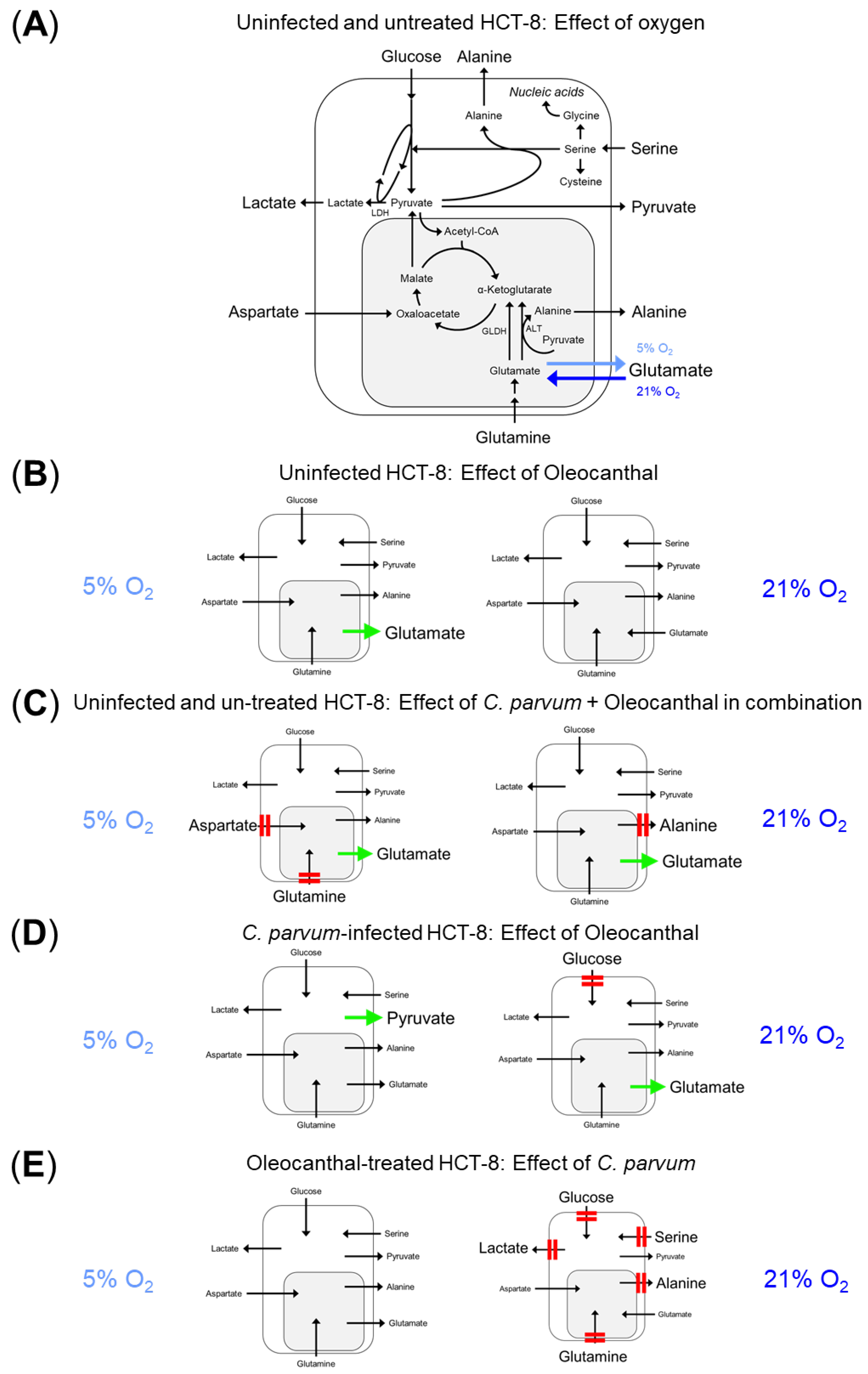 Pathogens 14 01002 g004 Pathogens 14 01002 g004