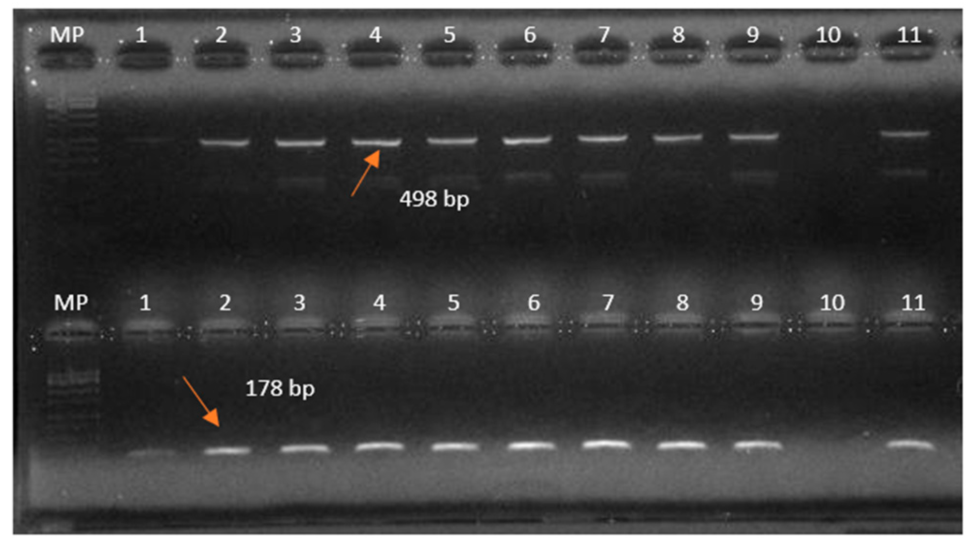 Pathogens 14 01003 g003