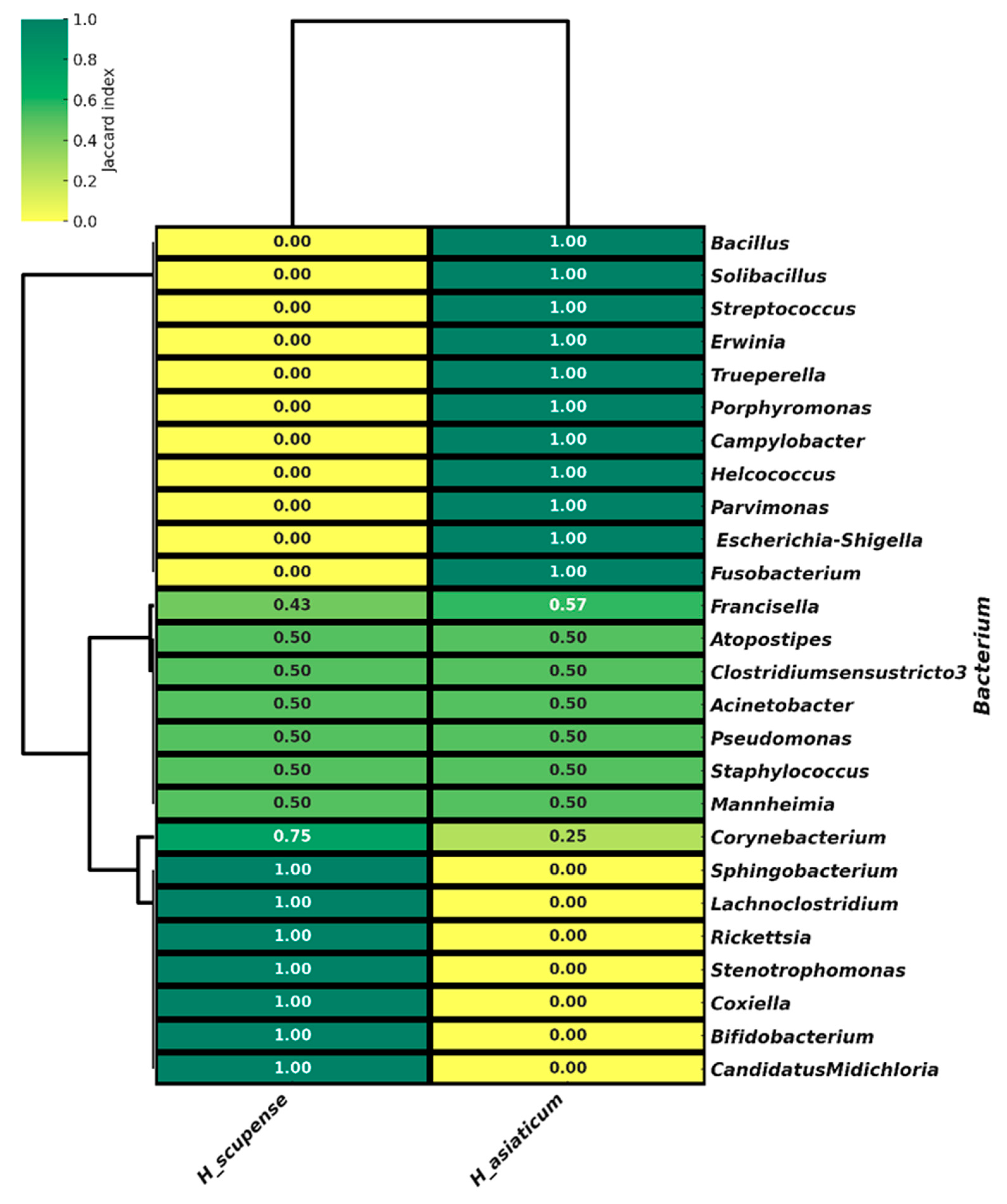 Pathogens 14 01008 g006