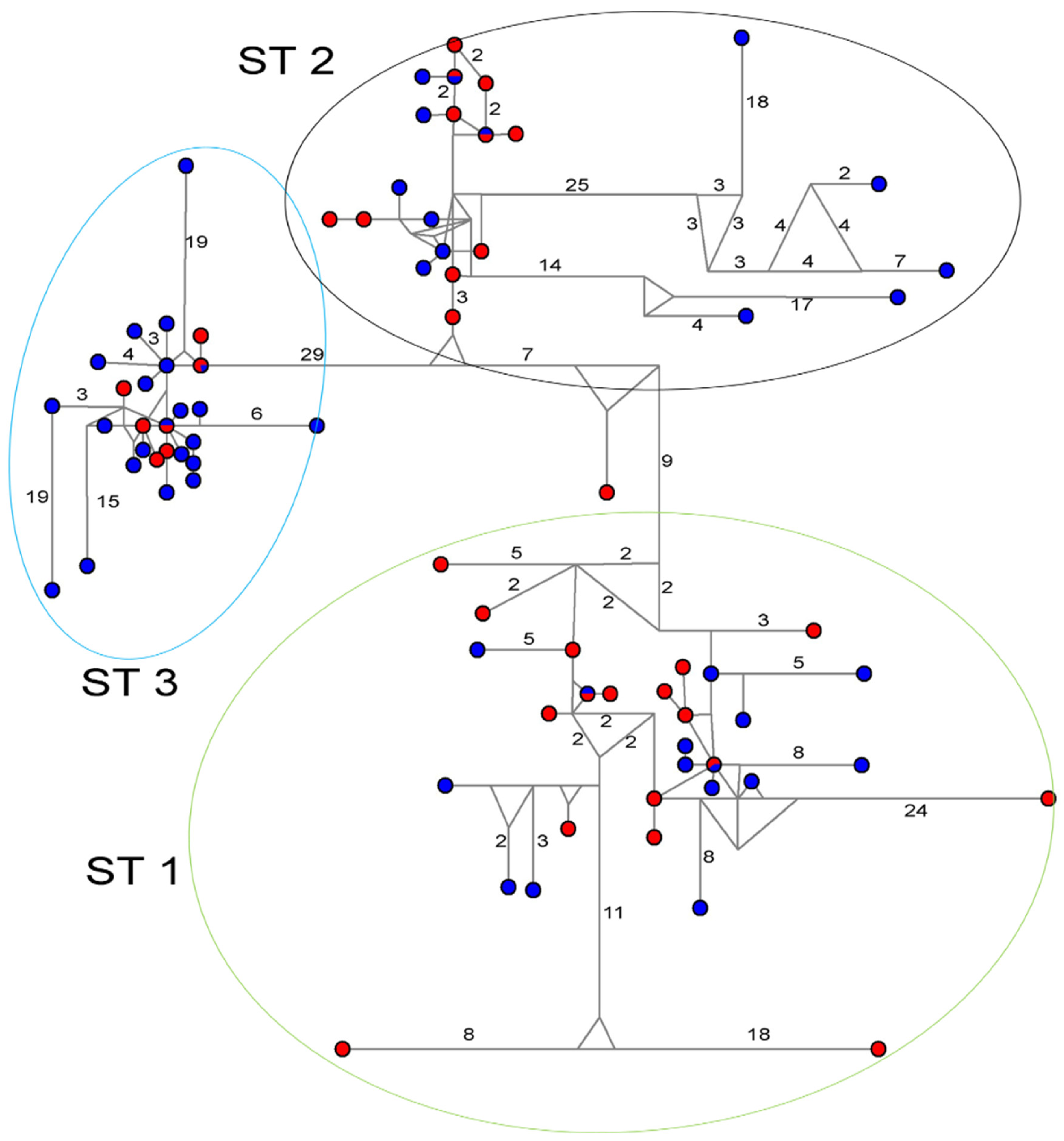 Pathogens 14 01009 g002 Pathogens 14 01009 g002