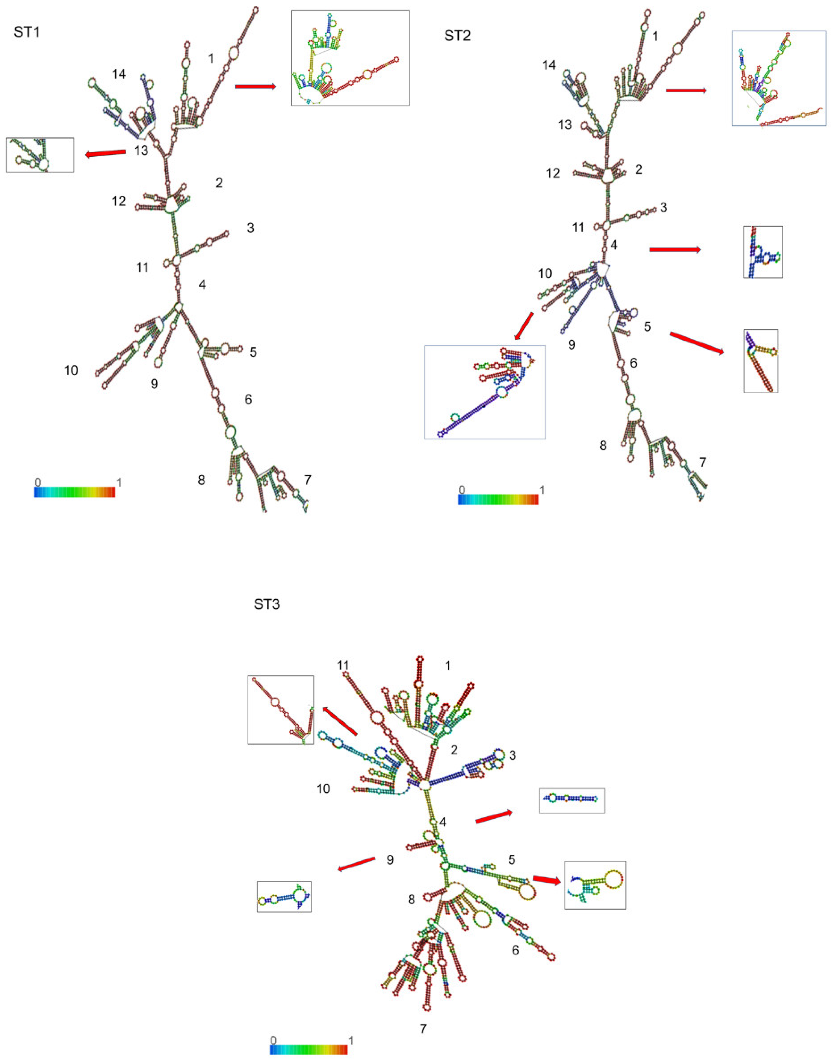 Pathogens 14 01009 g003 Pathogens 14 01009 g003