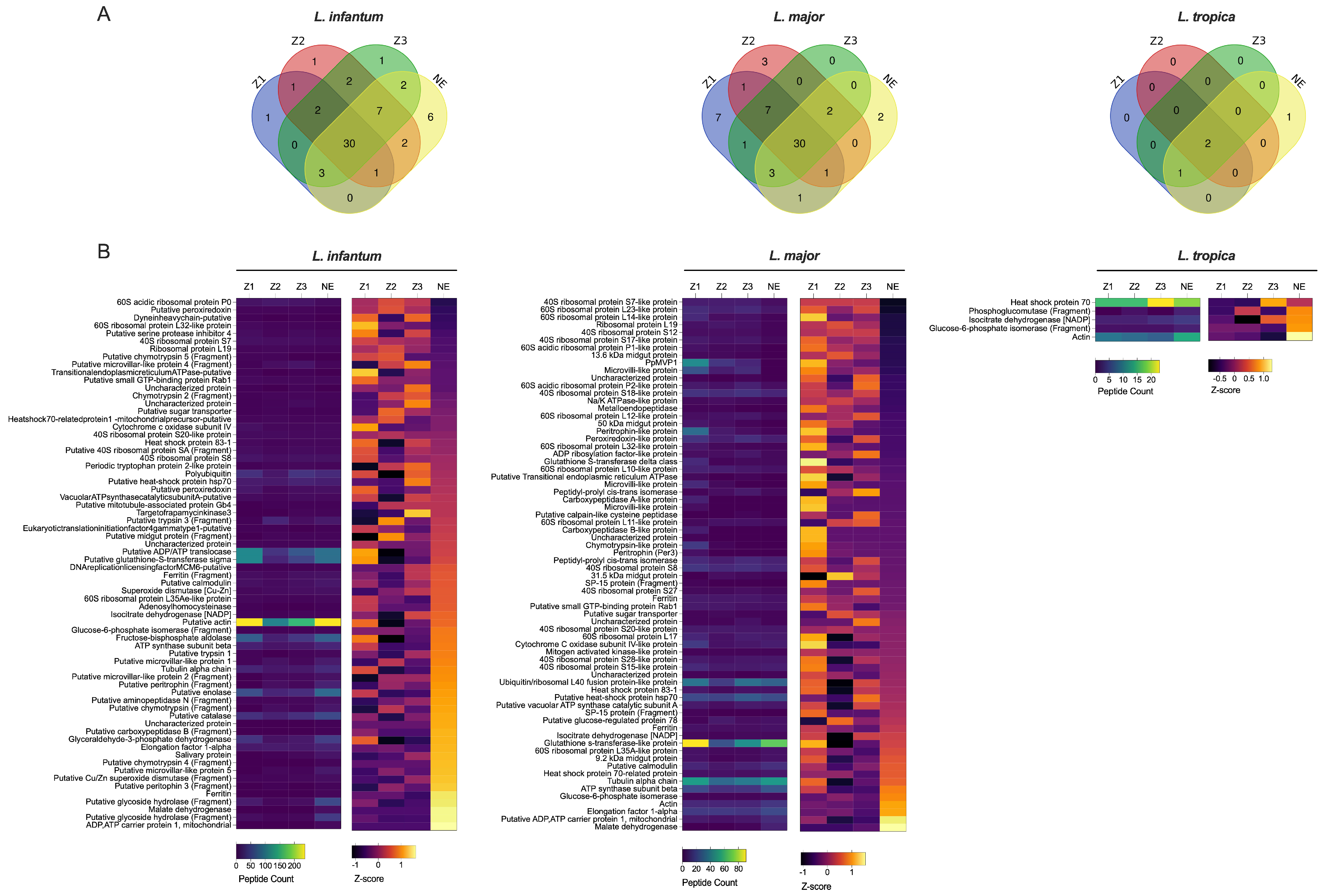 Pathogens 14 01012 g002 Pathogens 14 01012 g002