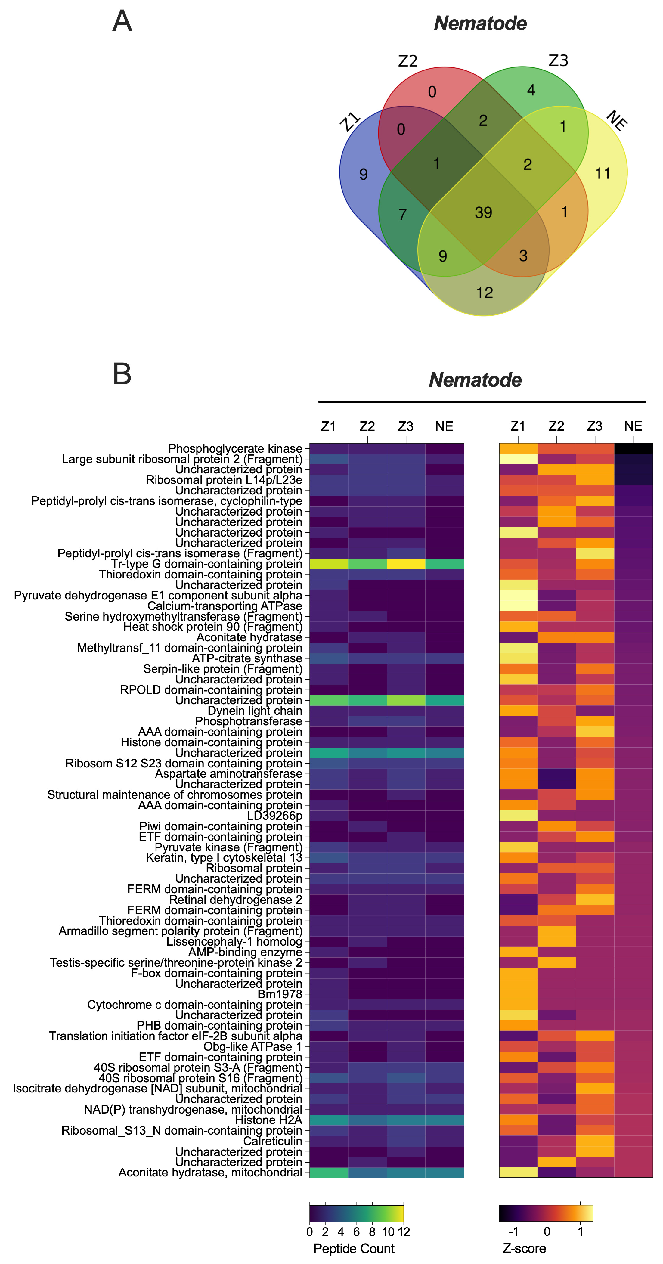 Pathogens 14 01012 g003 Pathogens 14 01012 g003