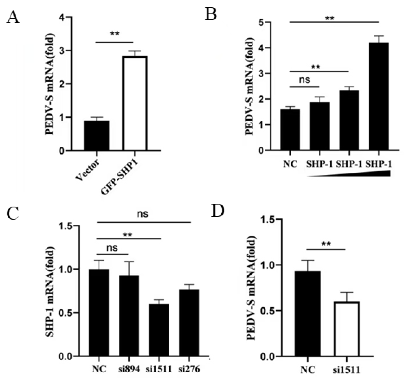 Pathogens 14 01014 g001 Pathogens 14 01014 g001