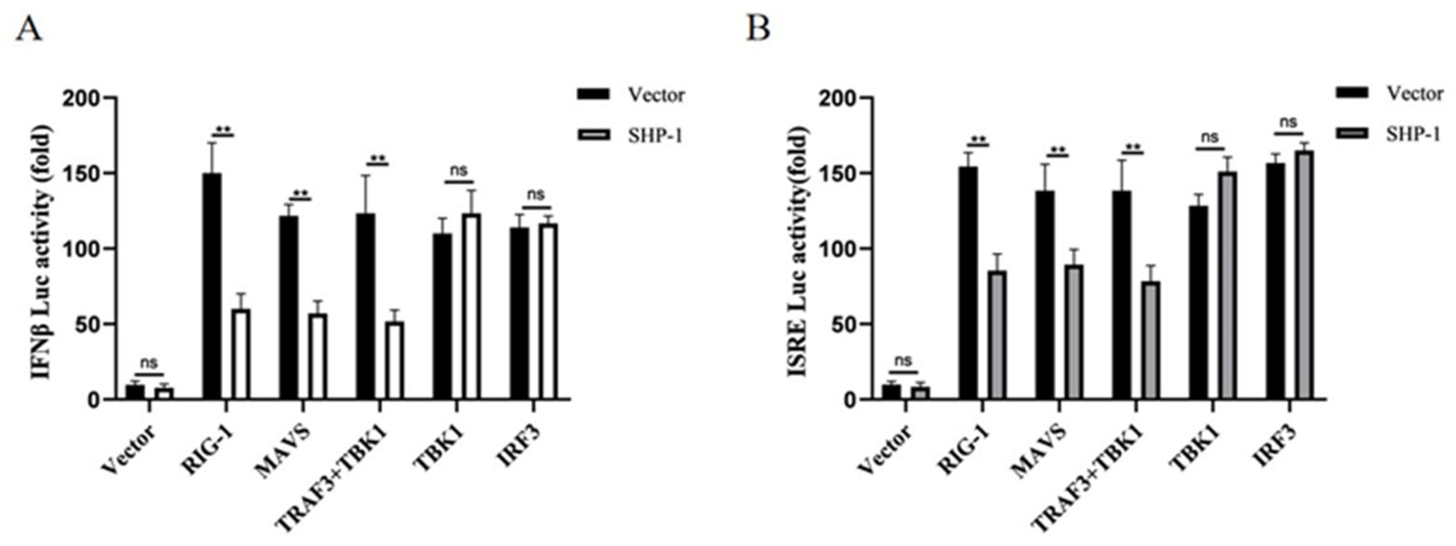 Pathogens 14 01014 g003 Pathogens 14 01014 g003