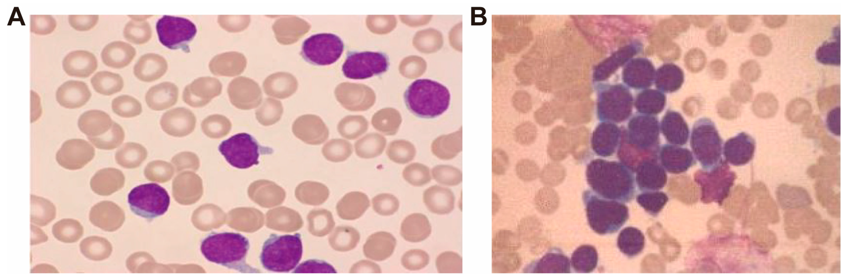 Pathogens 14 01015 g001