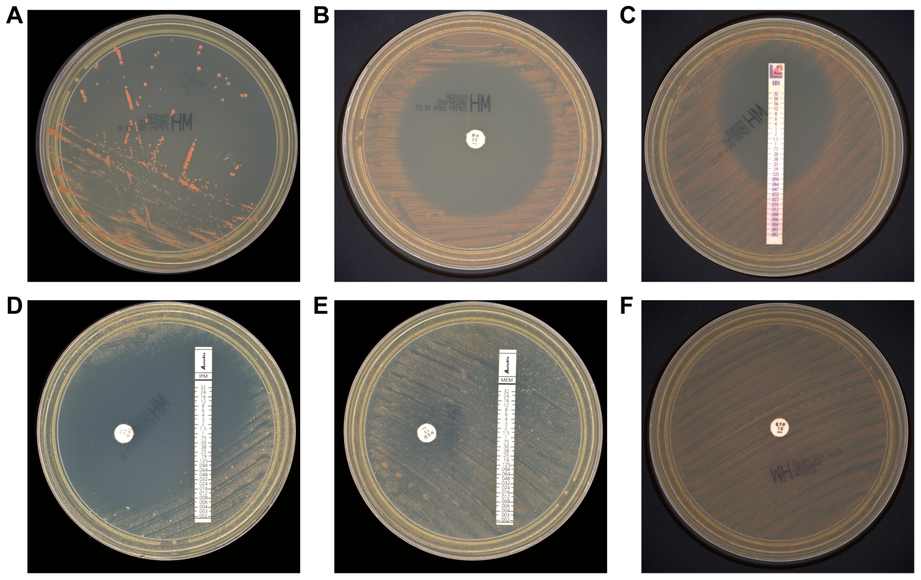 Pathogens 14 01015 g004