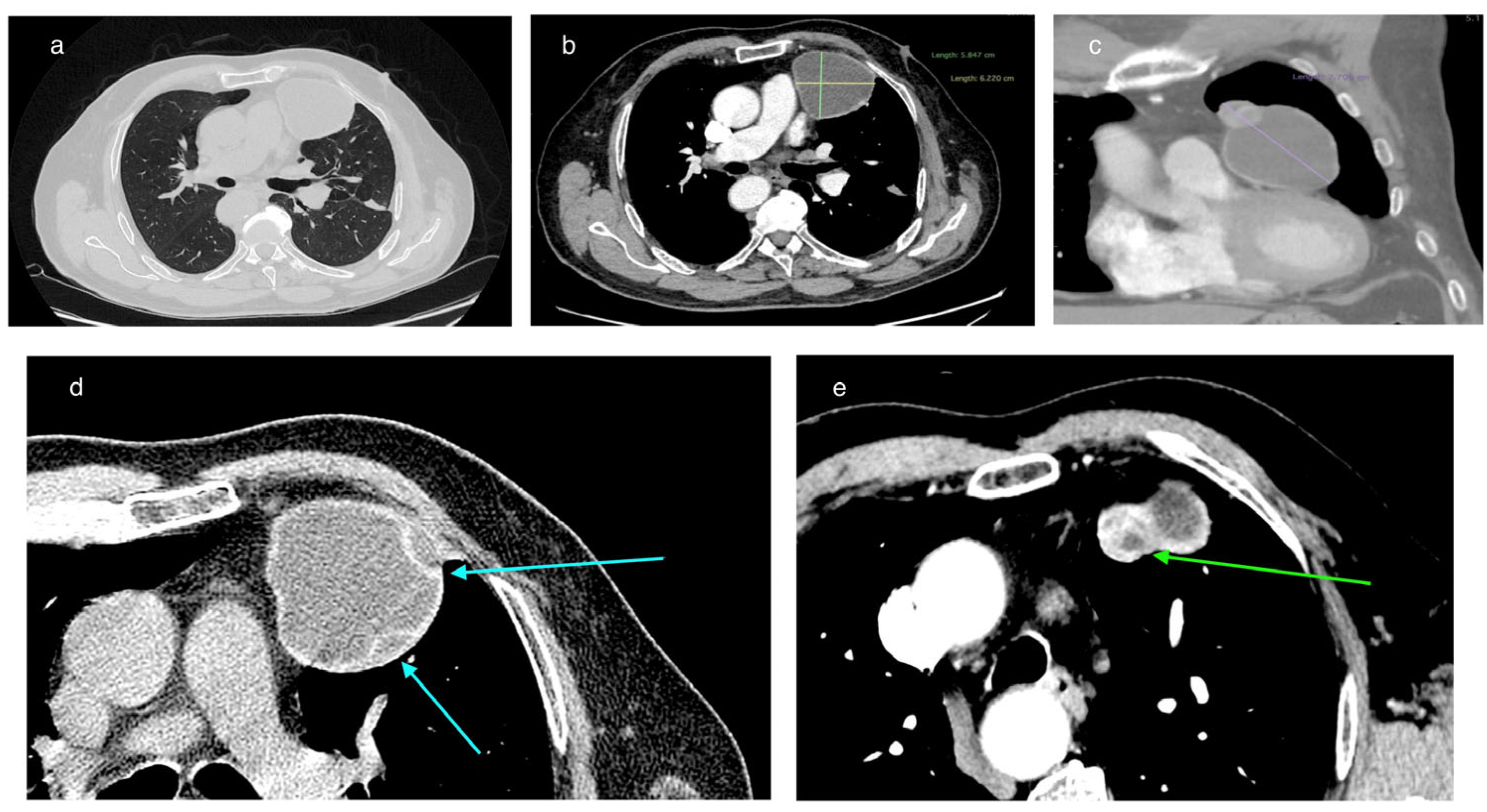 Pathogens 14 01016 g001