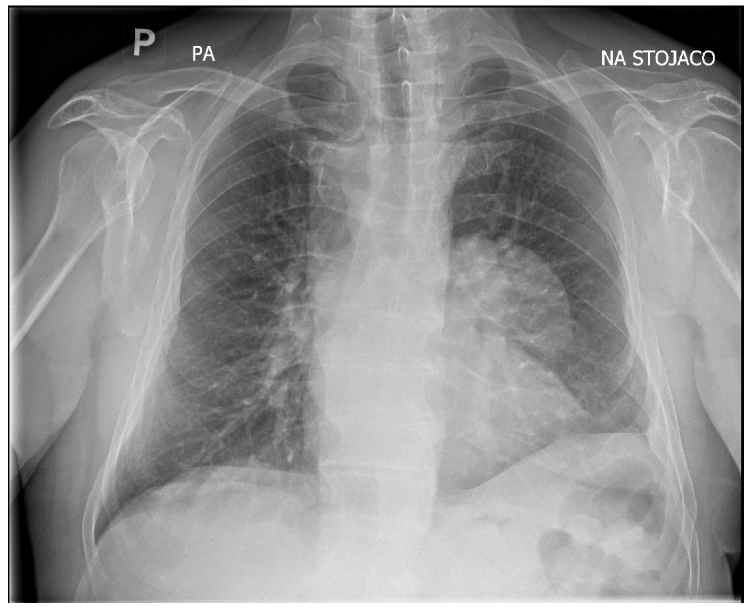 Pathogens 14 01016 g002