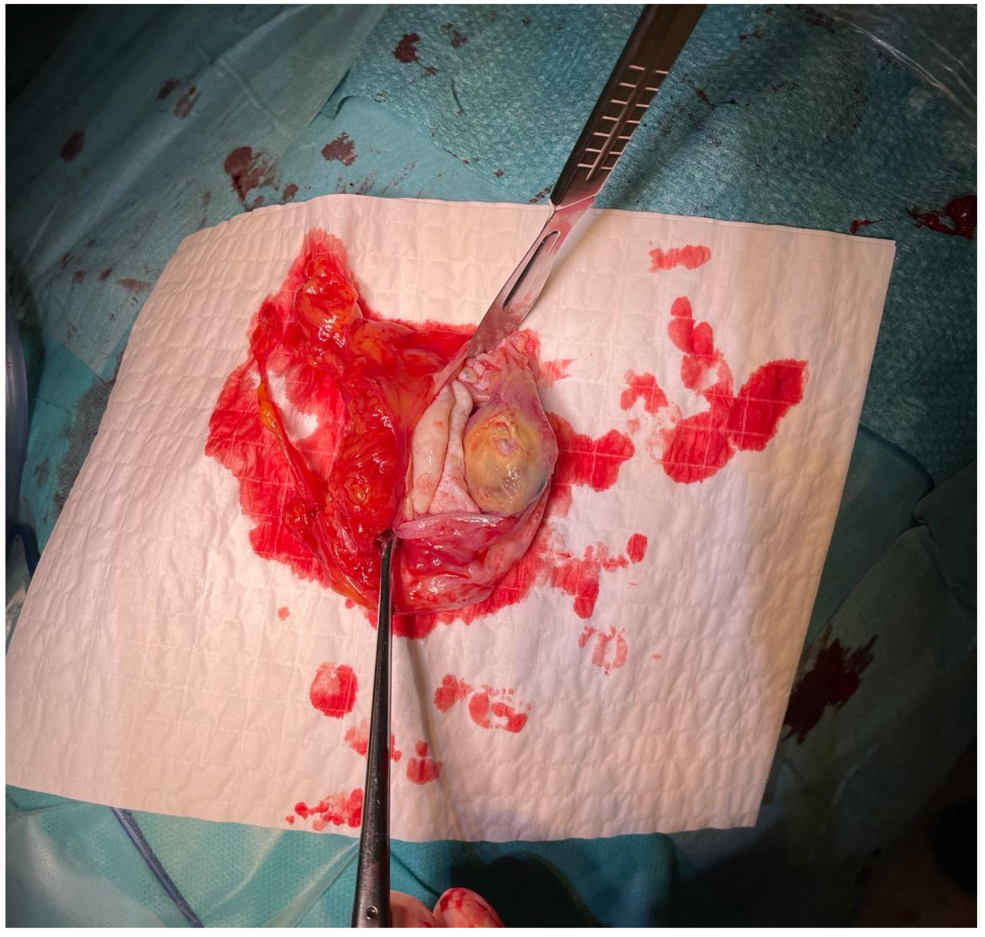 Pathogens 14 01016 g003