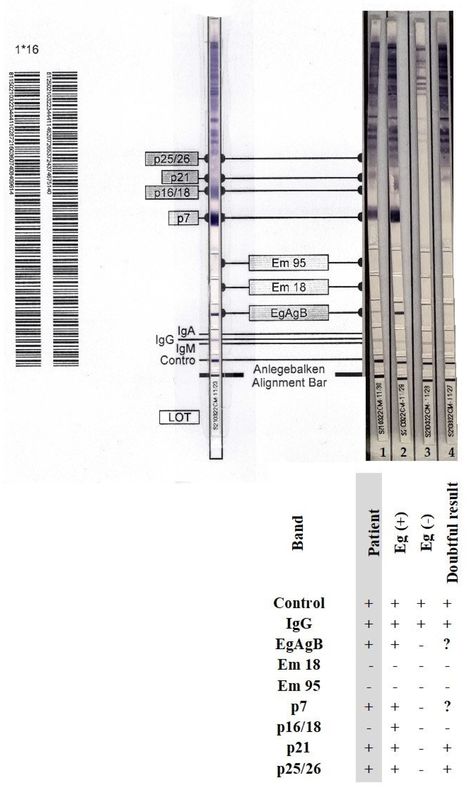 Pathogens 14 01016 g007
