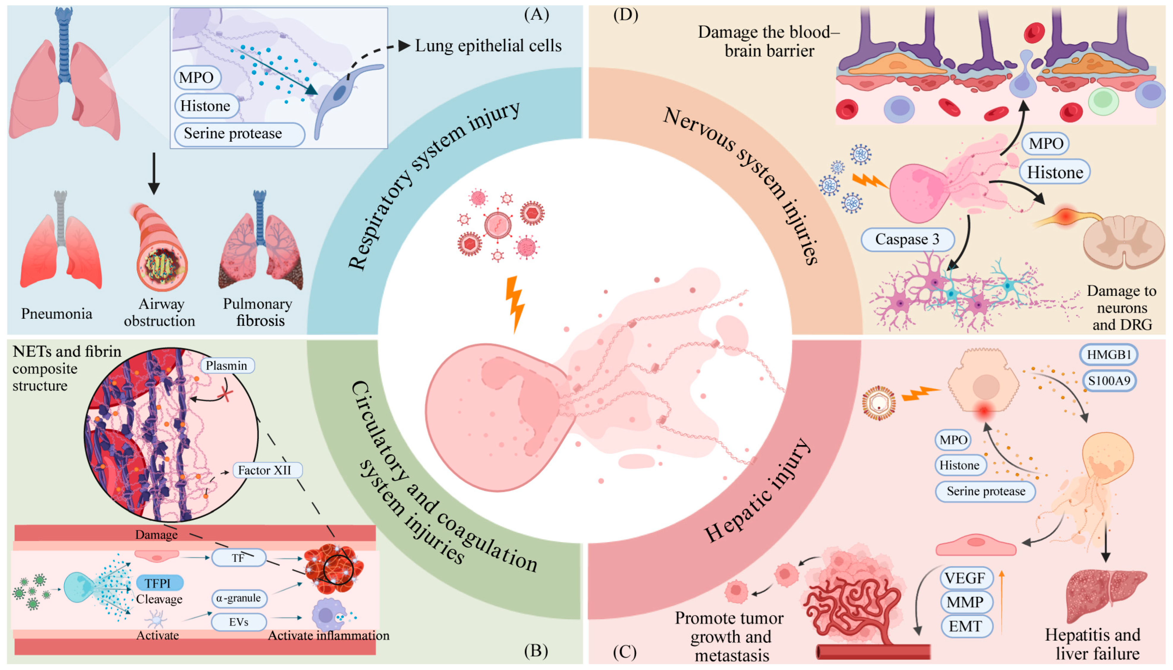 Pathogens 14 01018 g002