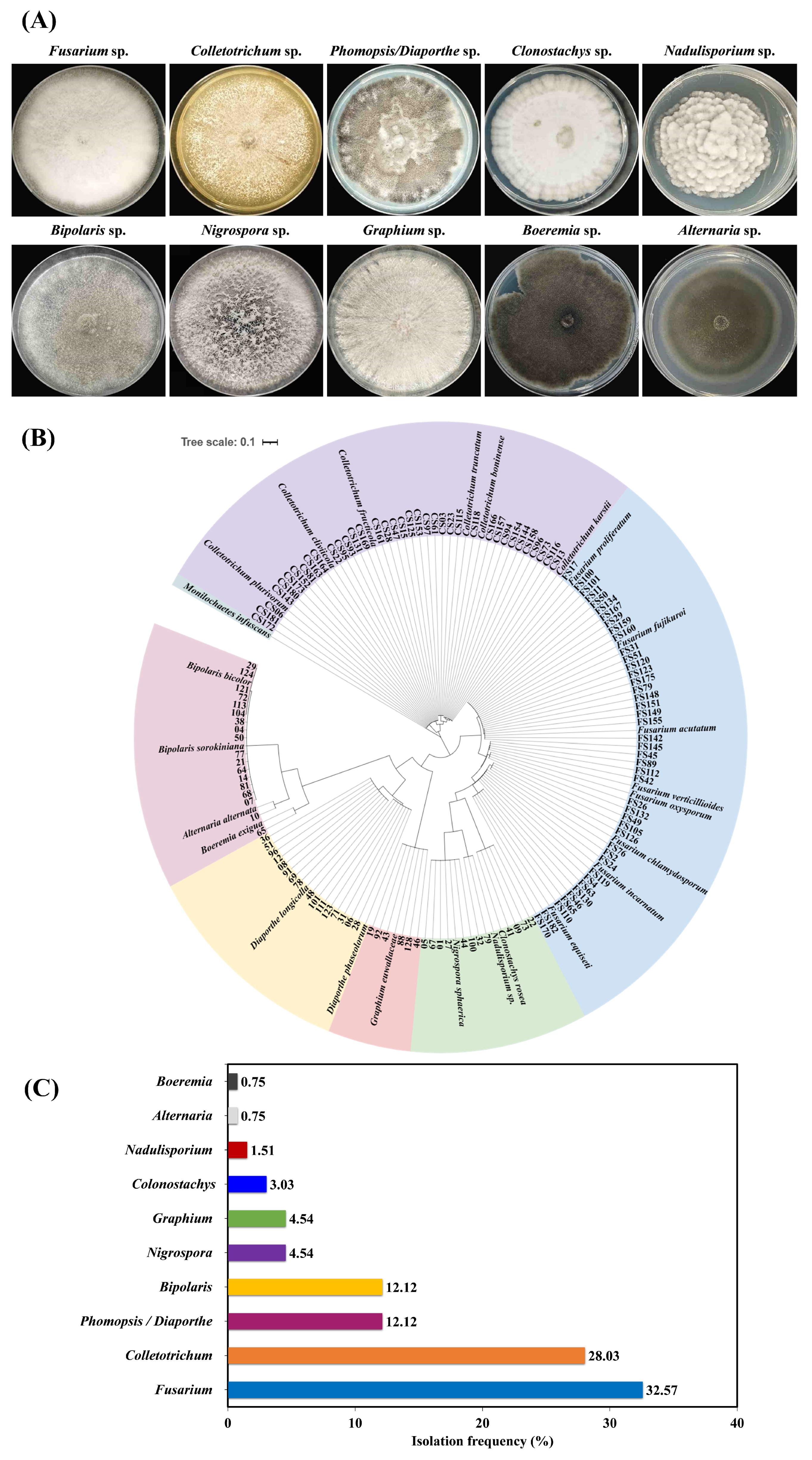 Pathogens 14 01020 g001