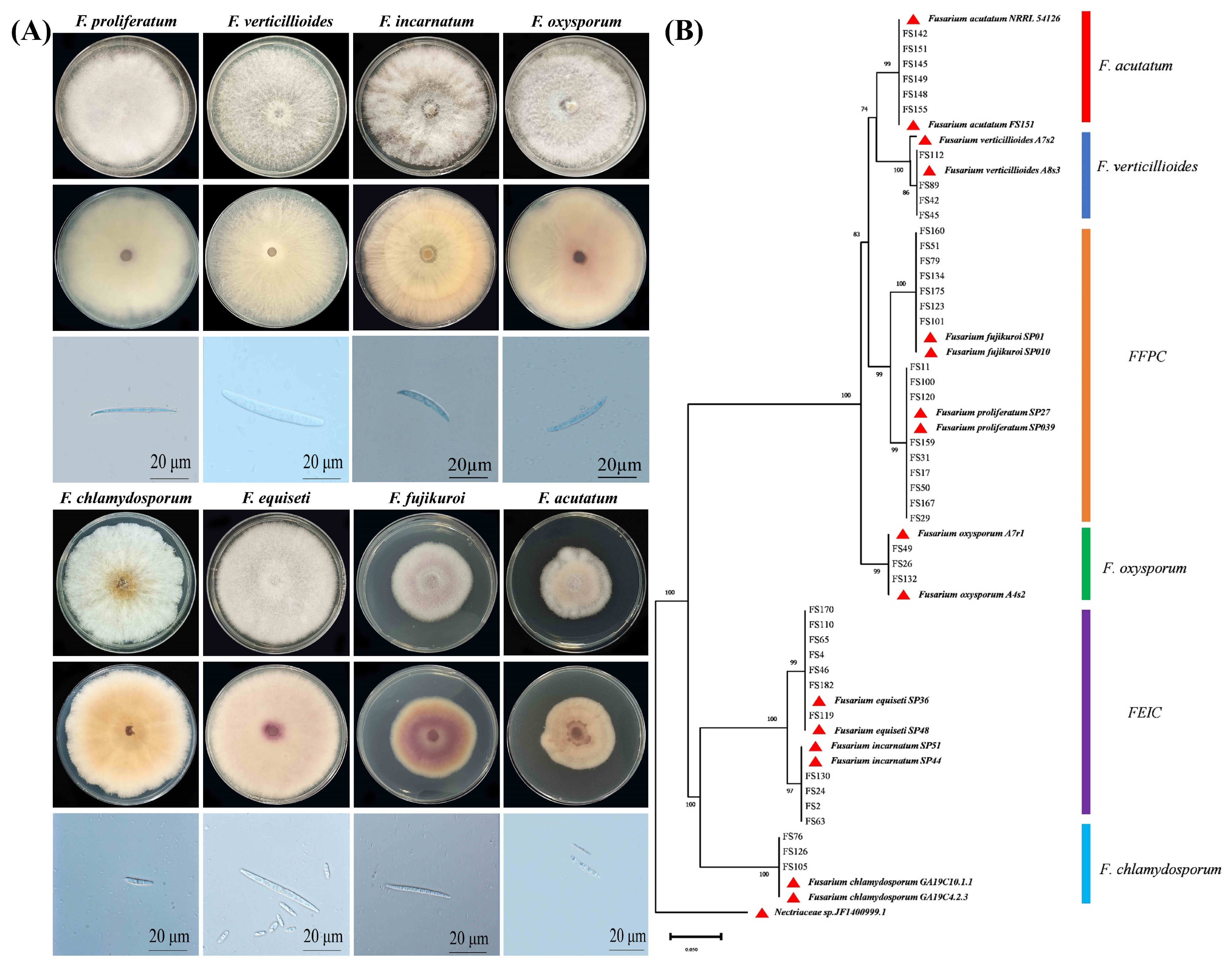Pathogens 14 01020 g002