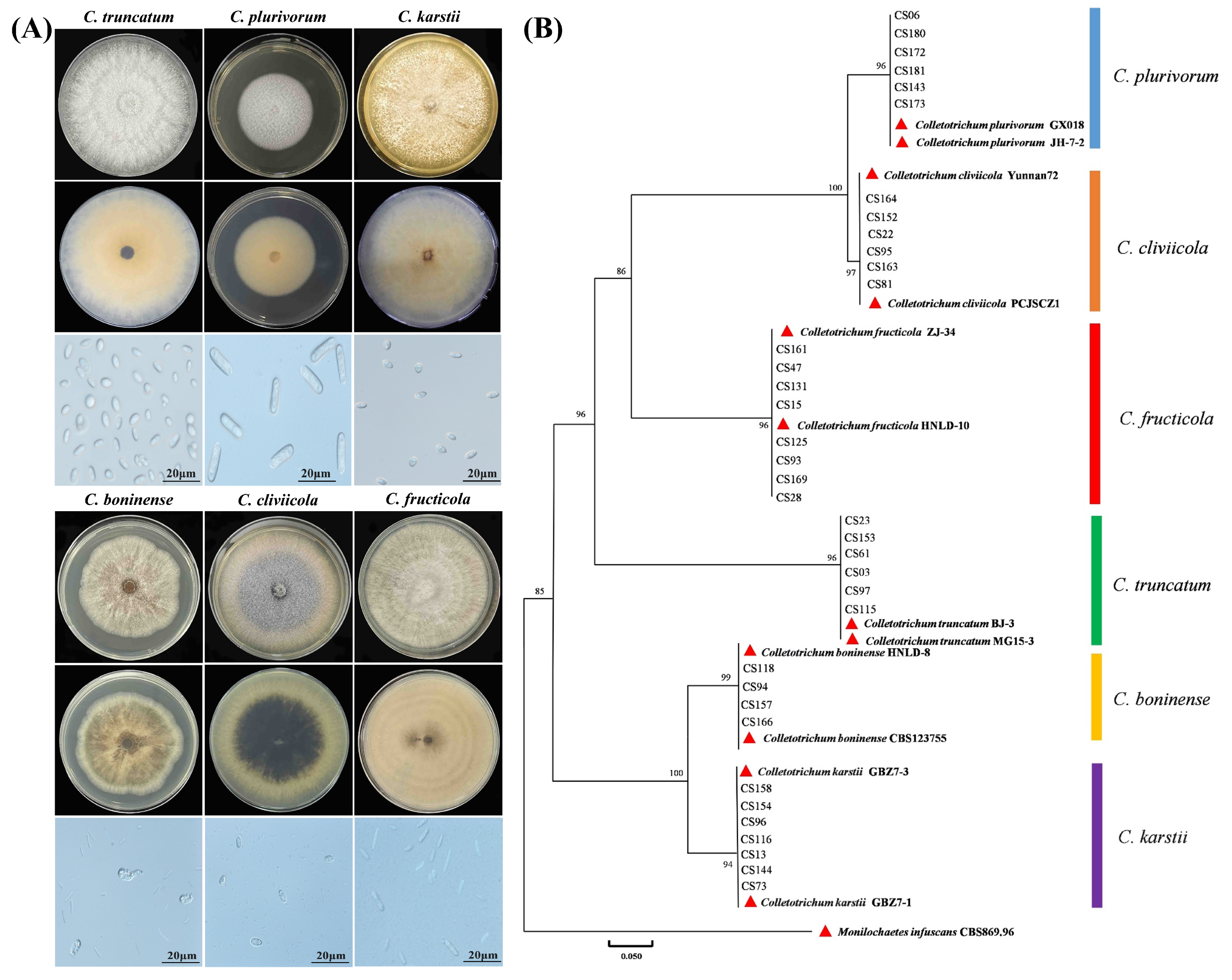 Pathogens 14 01020 g003