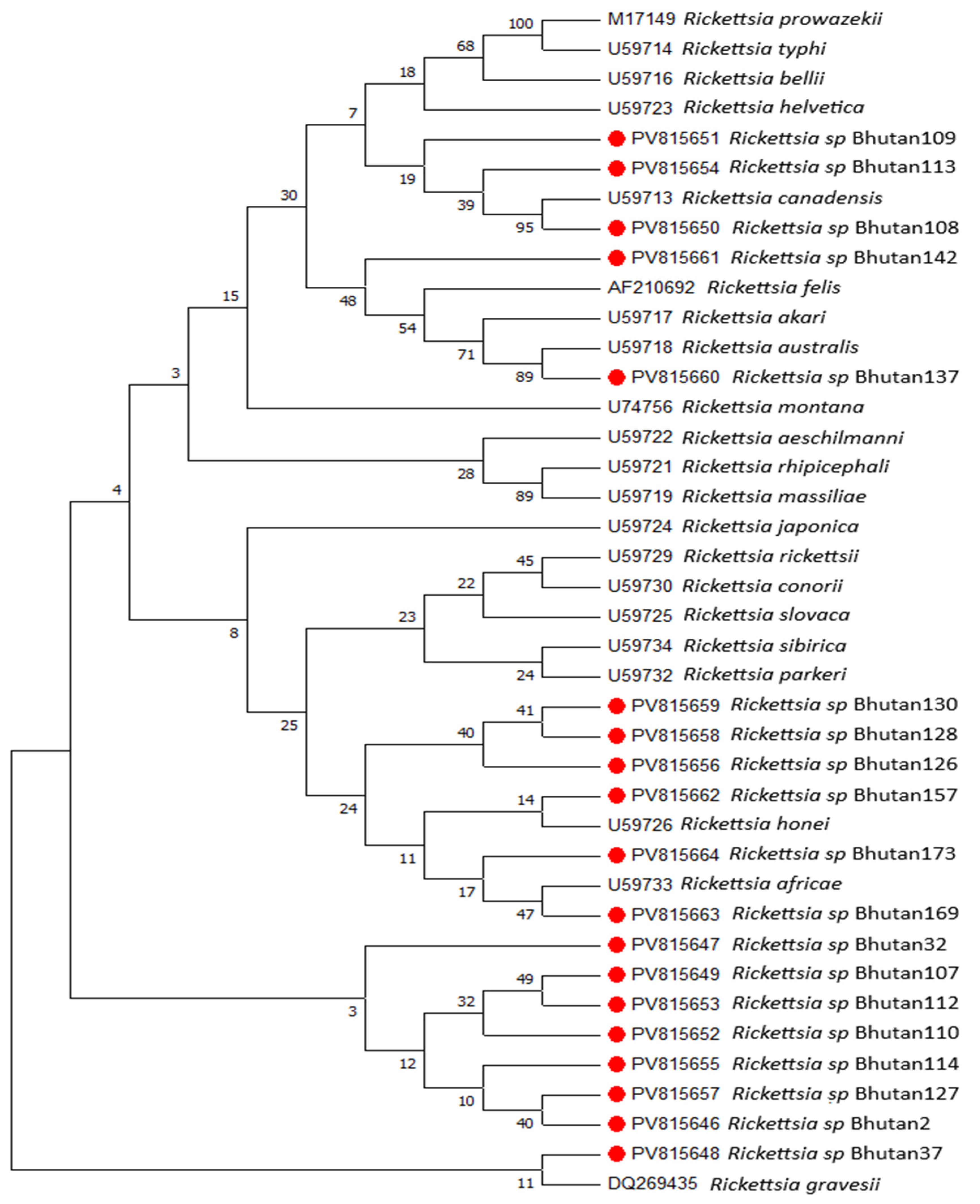 Pathogens 14 01021 g001 Pathogens 14 01021 g001