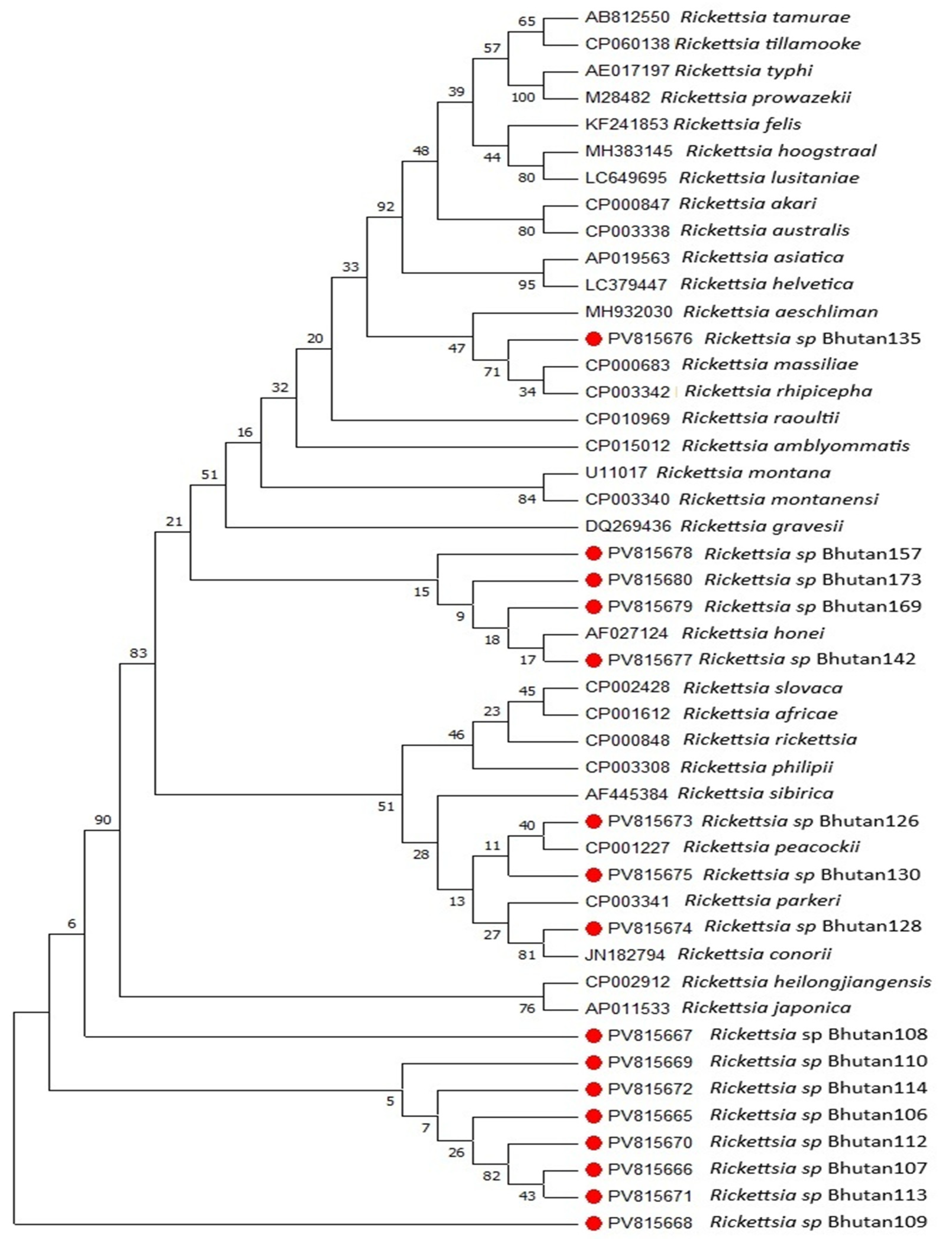 Pathogens 14 01021 g002 Pathogens 14 01021 g002