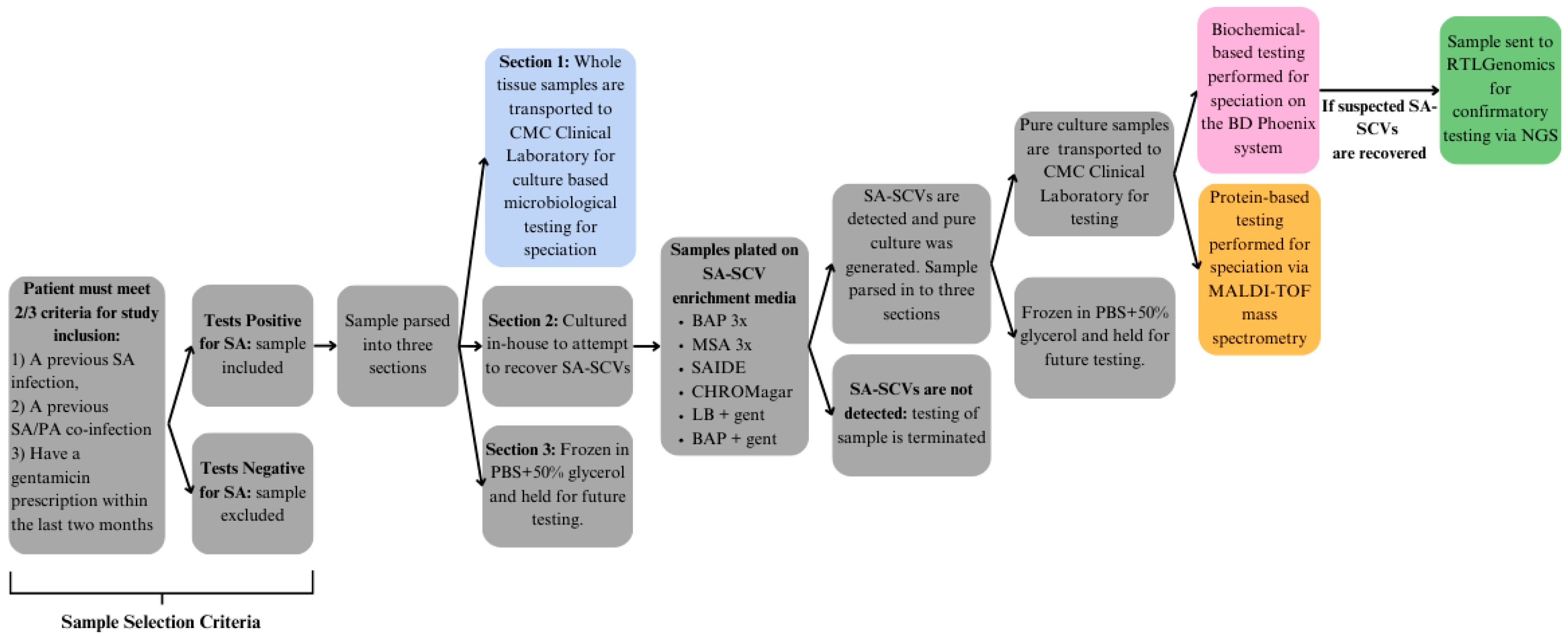 Pathogens 14 01023 g002