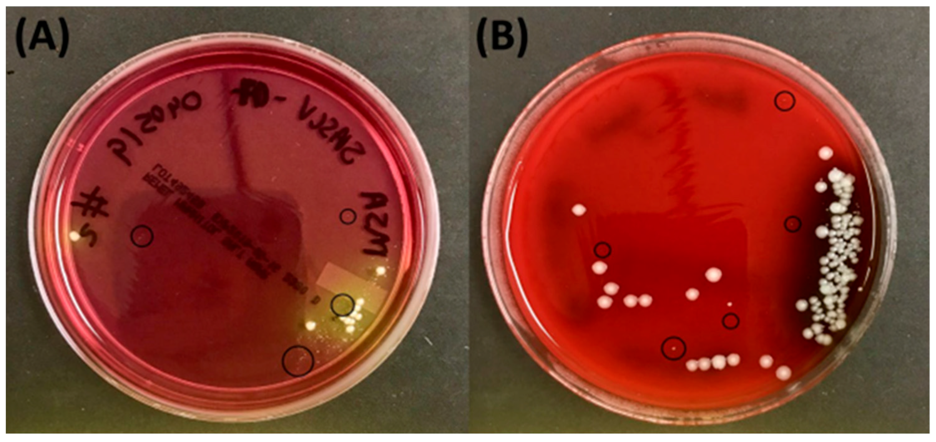 Pathogens 14 01023 g003