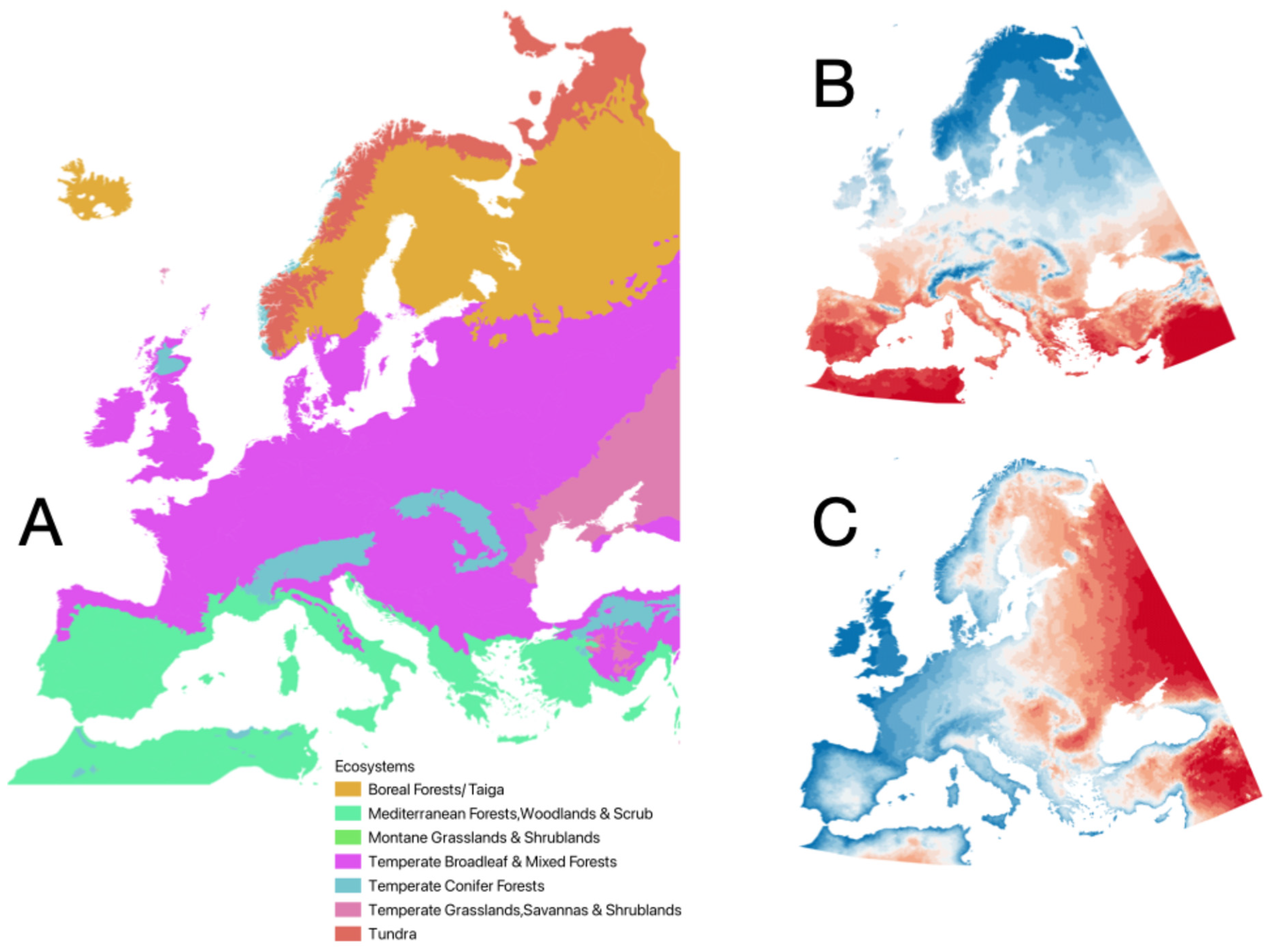 Pathogens 14 01025 g001 Pathogens 14 01025 g001